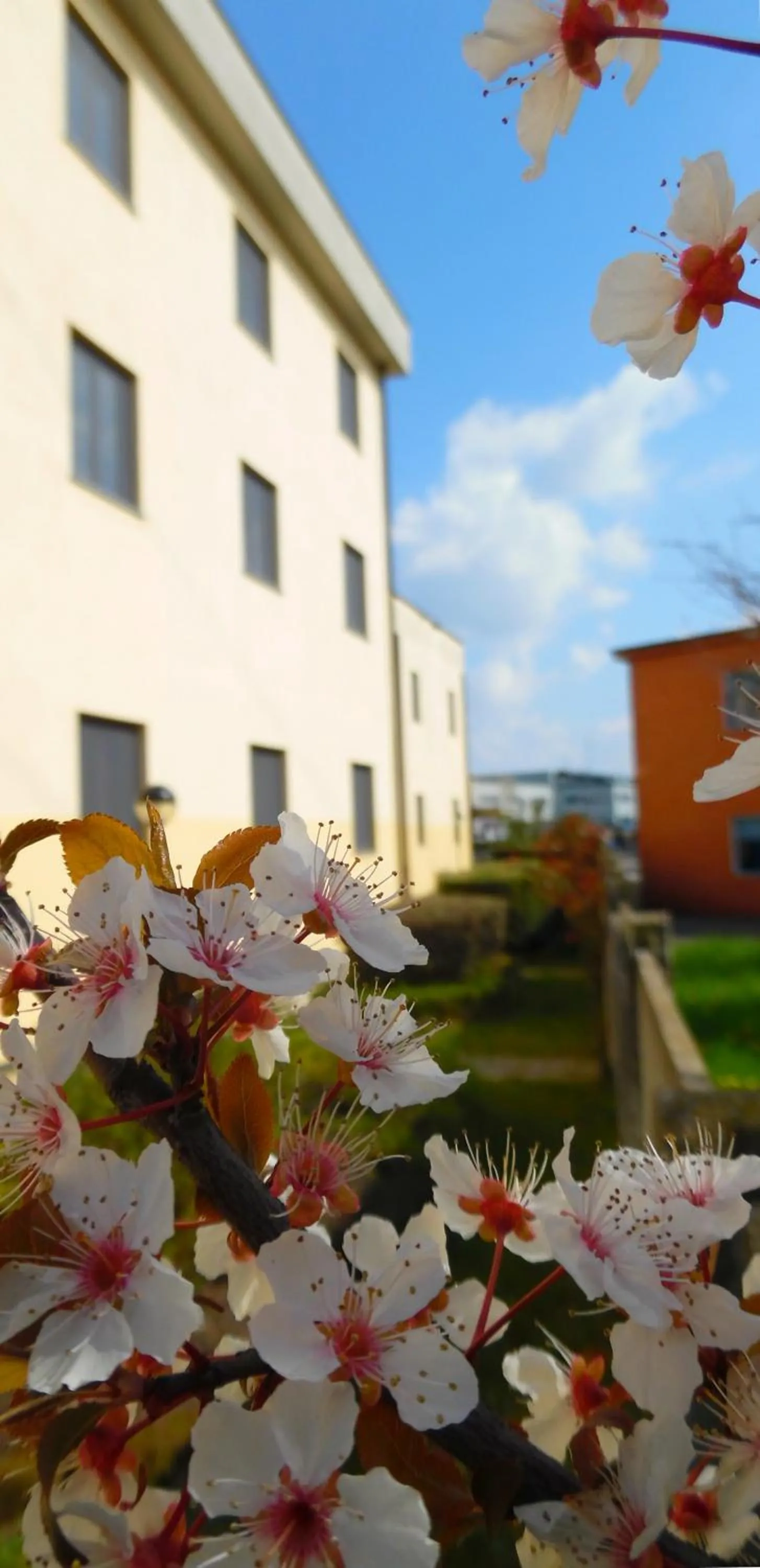 Property building in Hotel Majestic