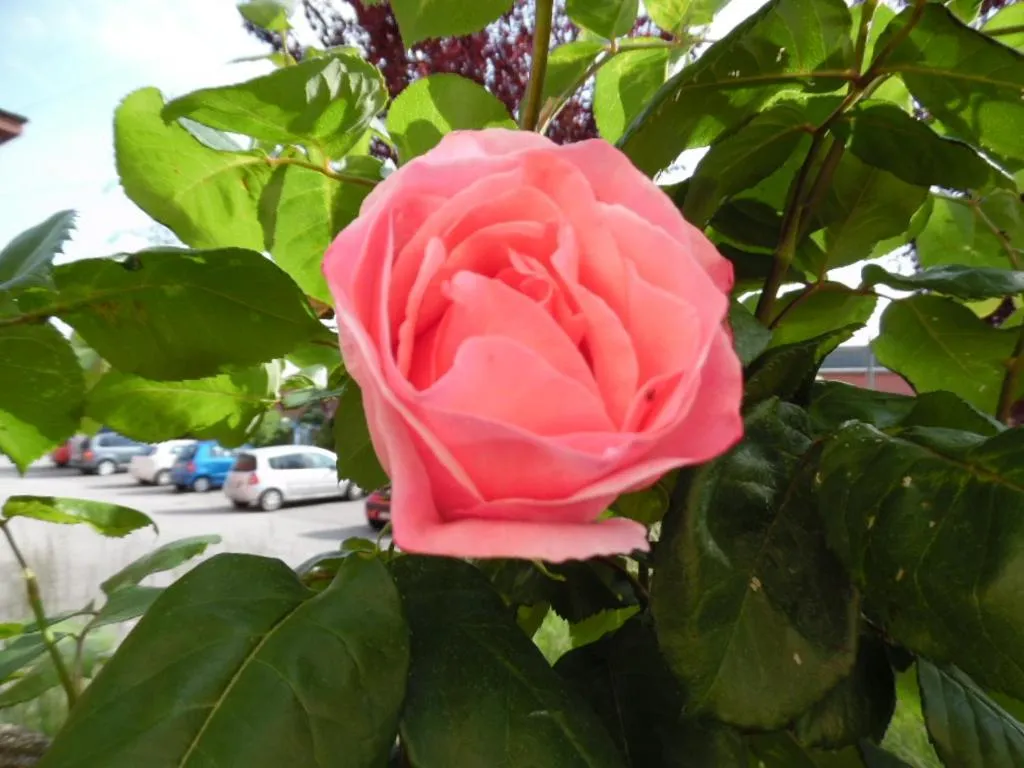 Other in Hotel Majestic