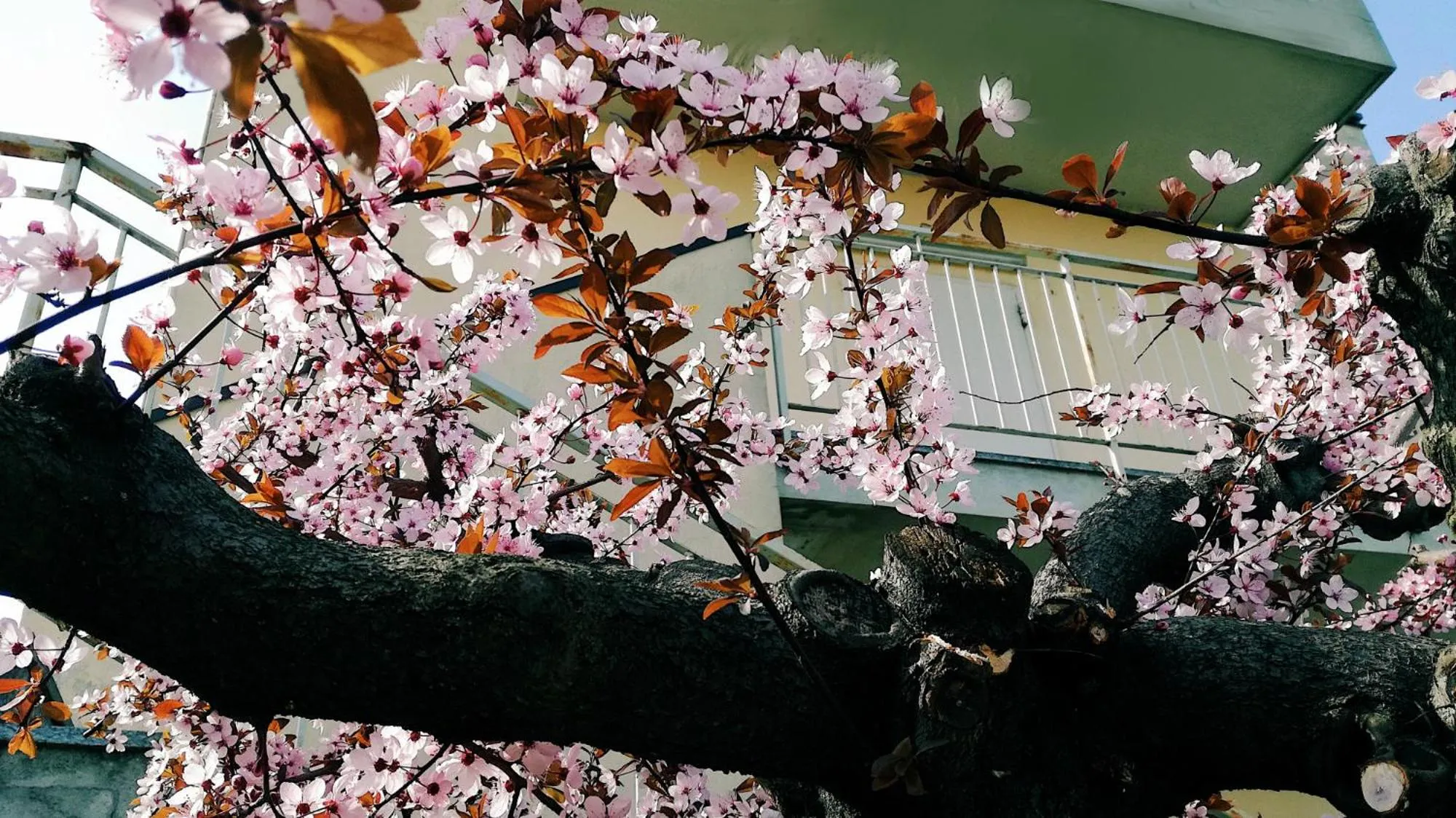 Other in Hotel Majestic