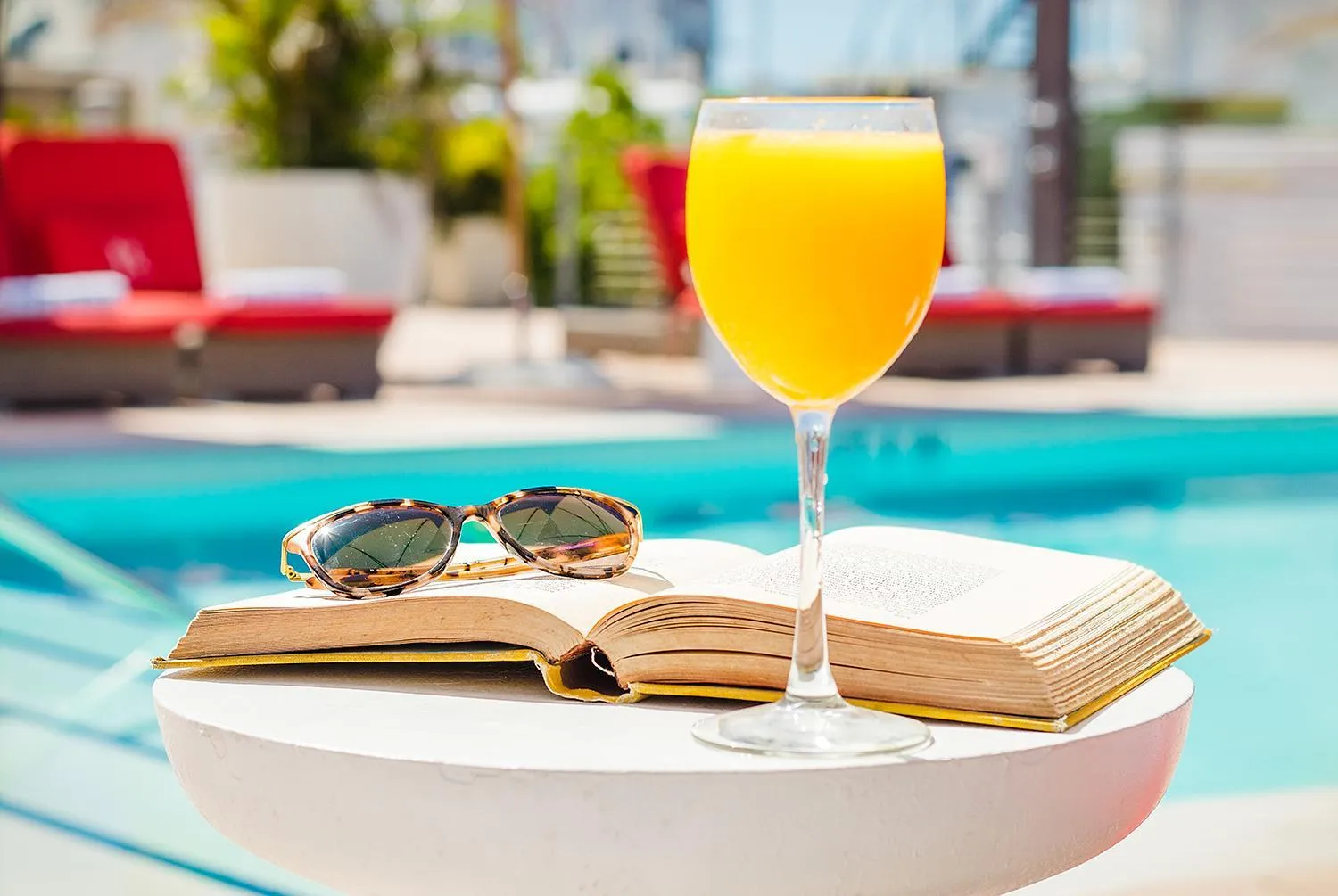 Swimming pool in Uma House by Yurbban South Beach