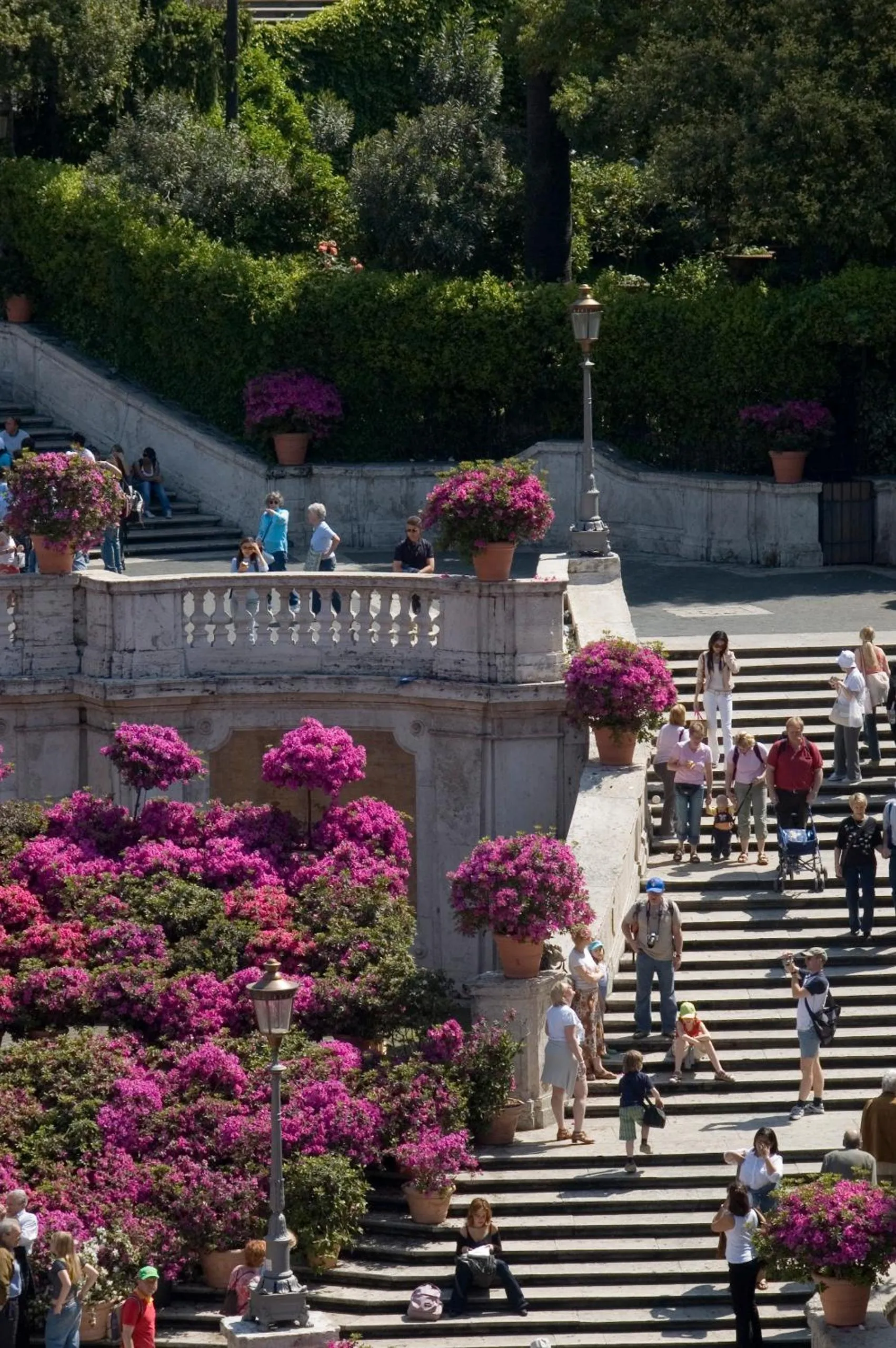 Spring in The Inn at the Spanish Steps Luxury Collection - The Inn at the Spanish Steps