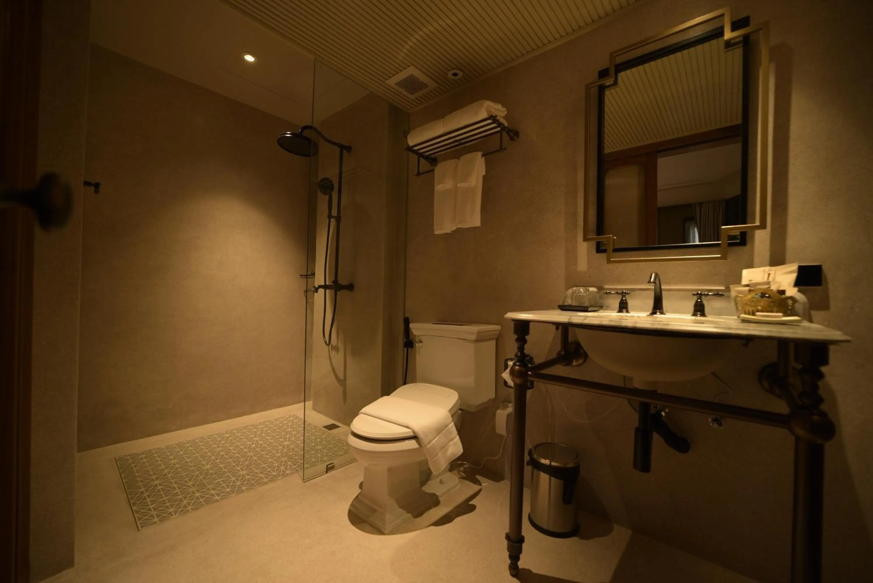 Shower in Hotel Verdigris