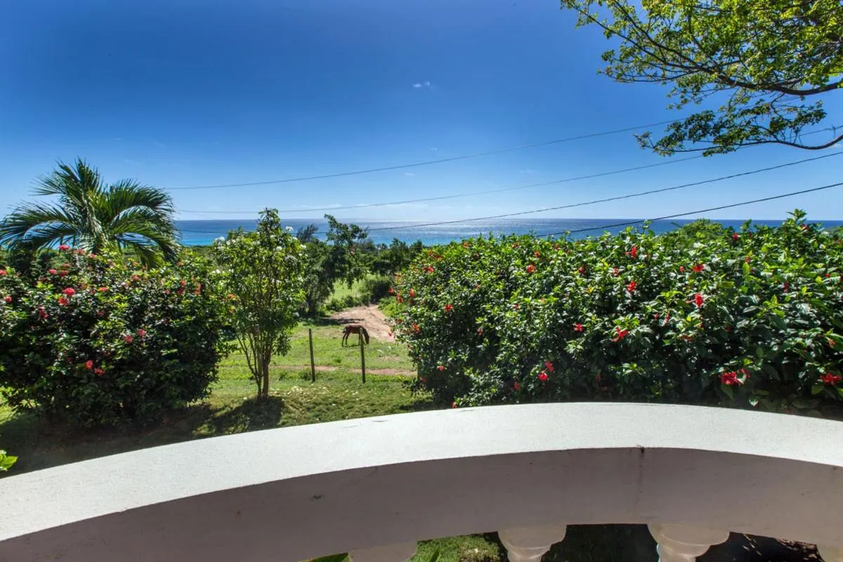 Hacienda Tamarindo