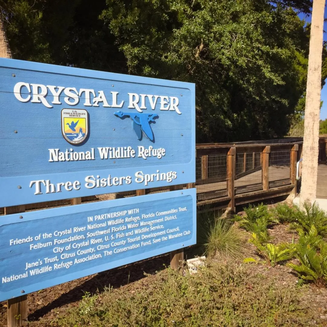 NEW Cozy House 5 Min Three Sisters Springs