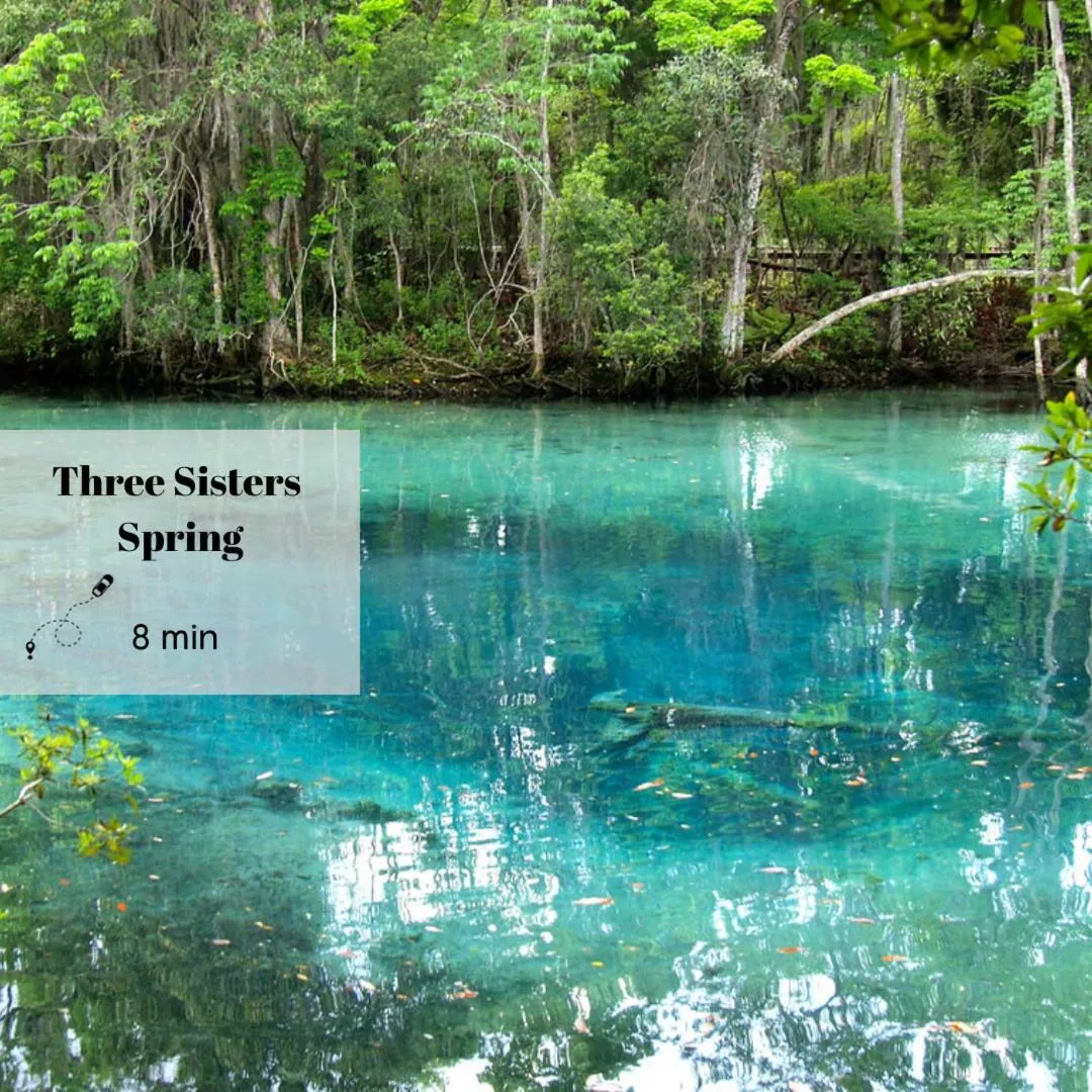 NEW Cozy House 5 Min Three Sisters Springs