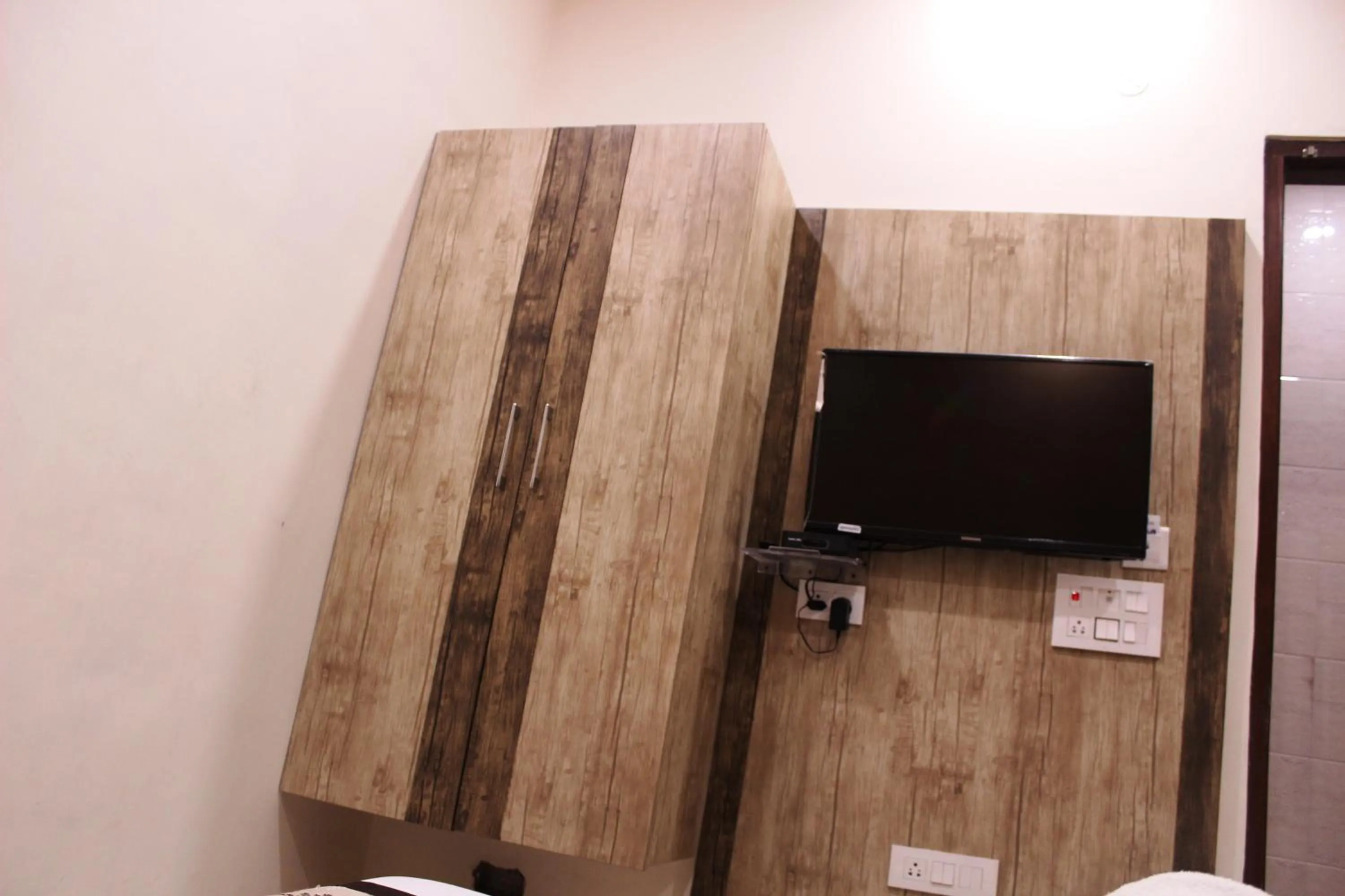 TV and multimedia in Shree Krishna Hotels