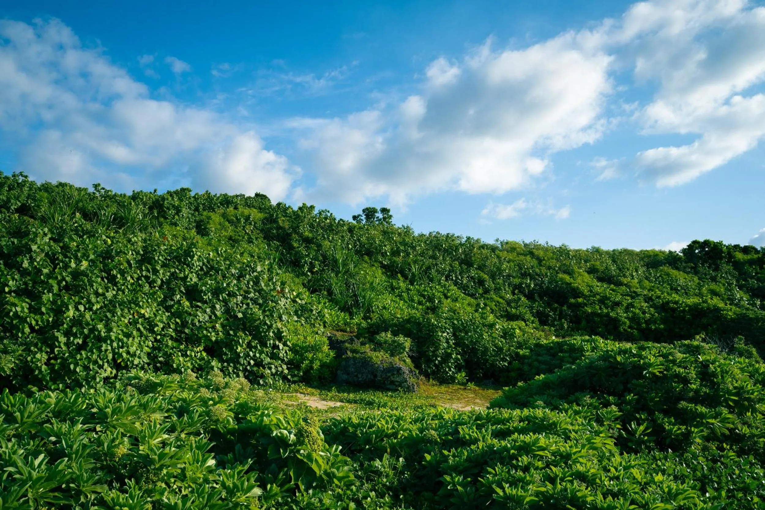 Nearby landmark in Nest Hotel Ishigaki Maesato Beach