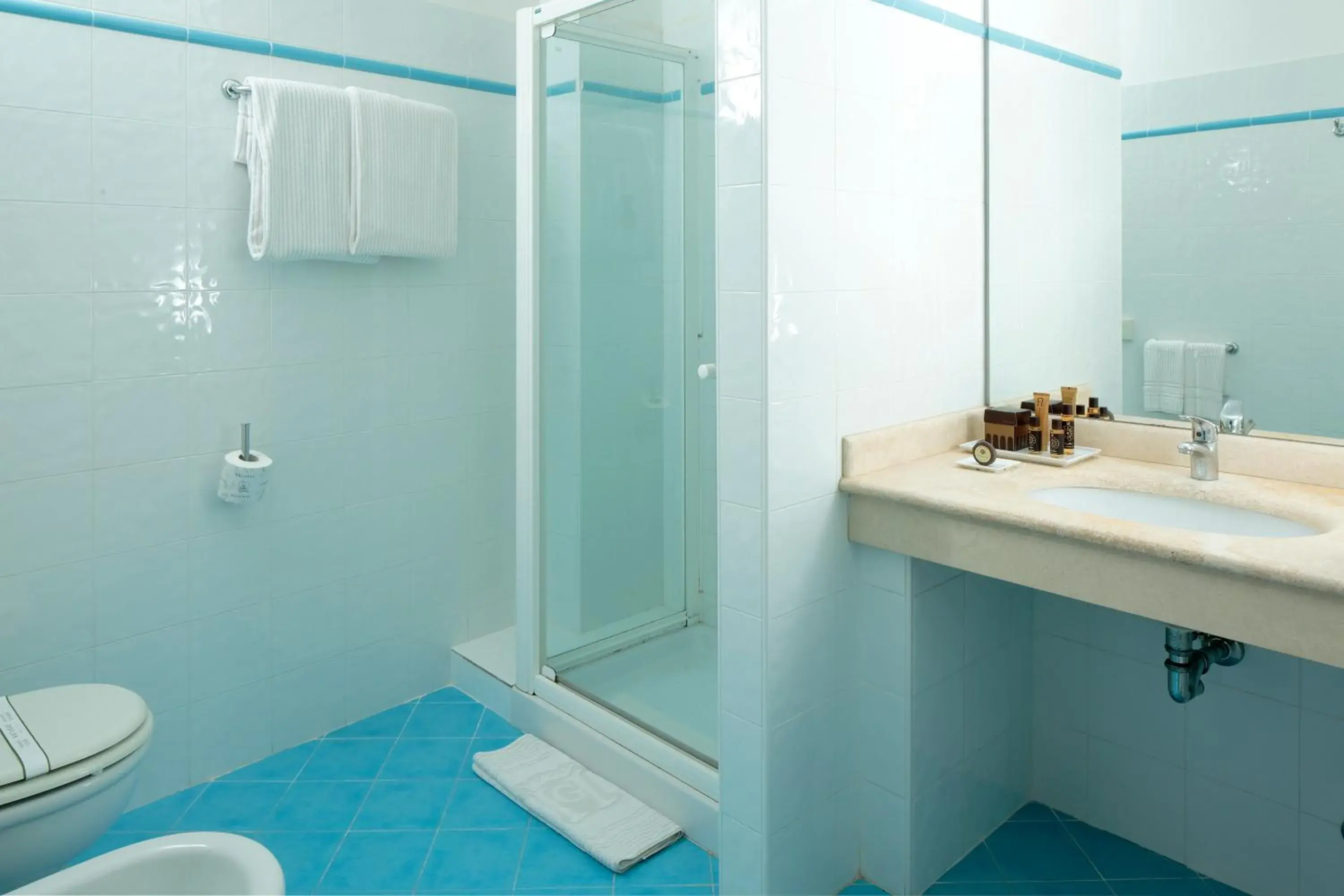 Double Room - single occupancy in Giotto B&B Double Room - single occupancy in Giotto B&B