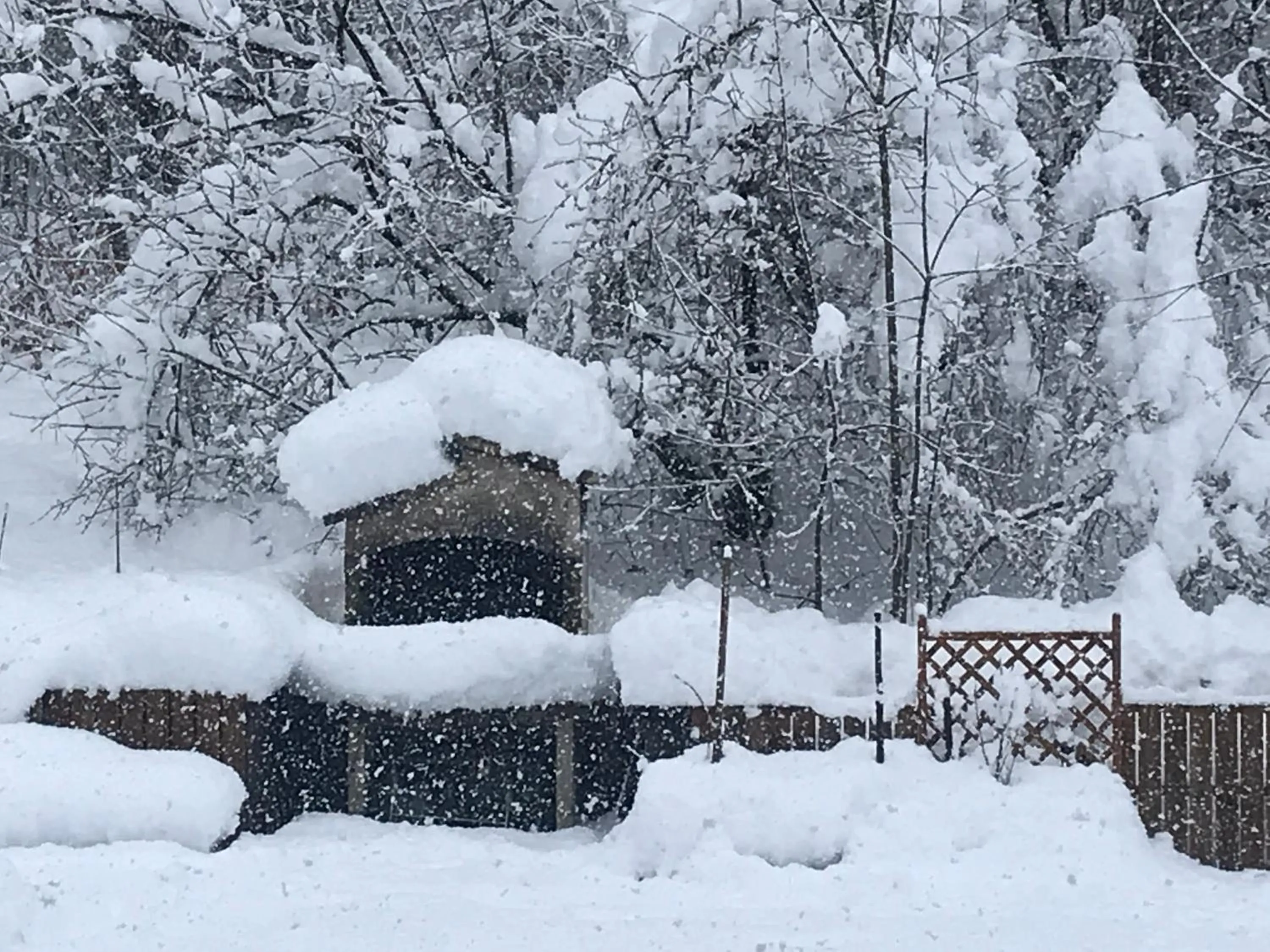 Garden view in Chalet Esprit