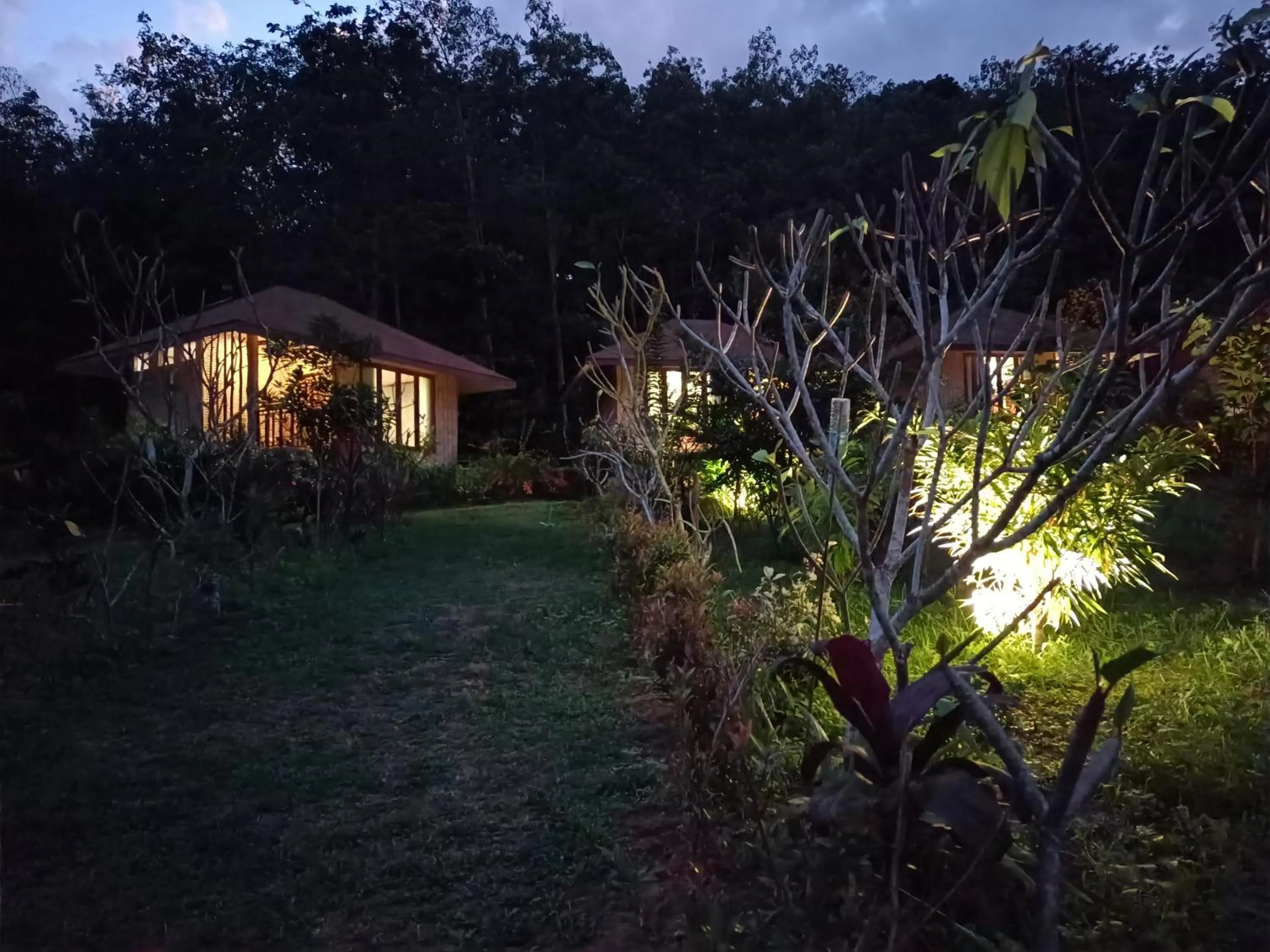 Night in The mantra resort