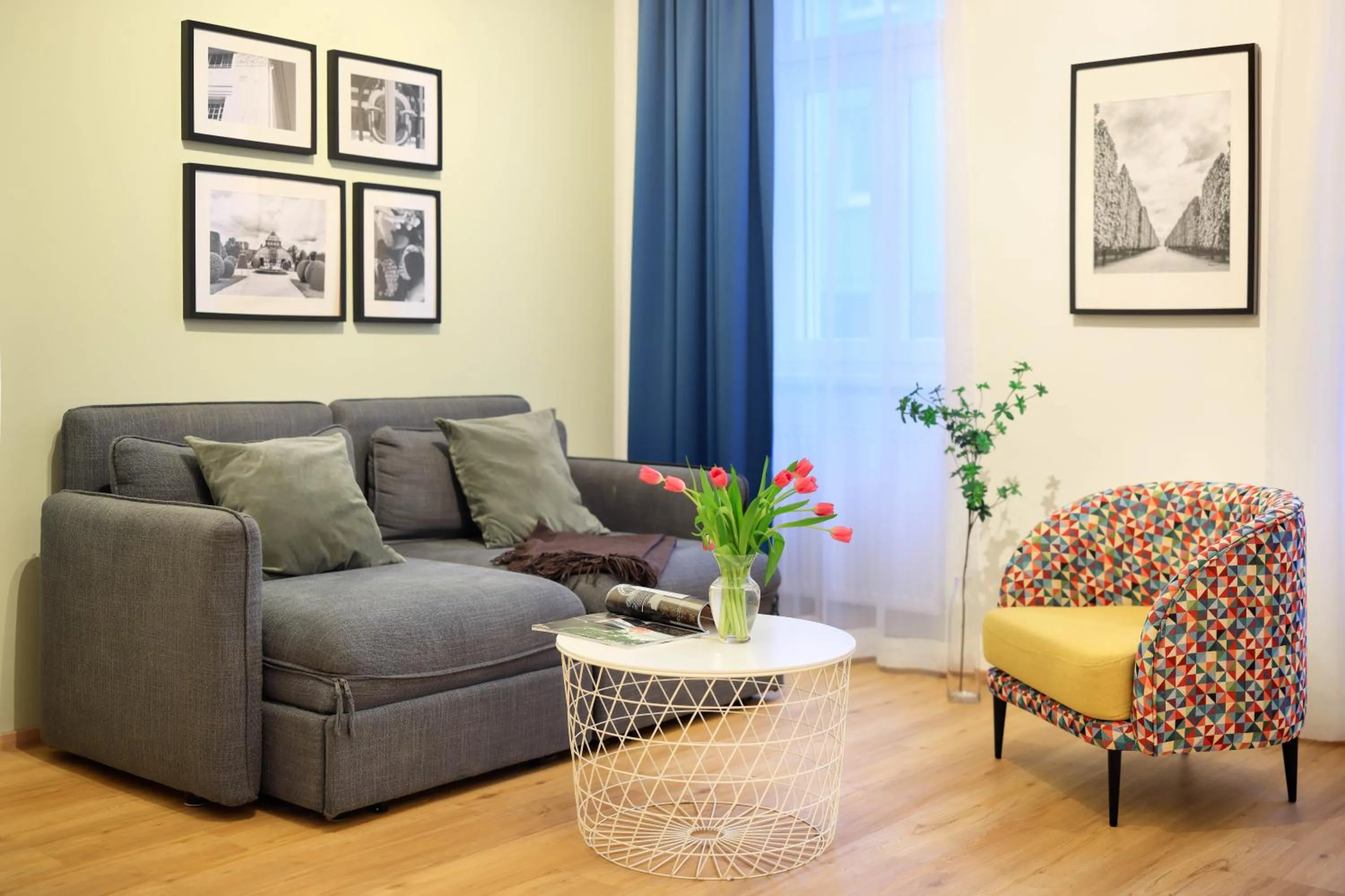 Living room in Jimmy's Apartments Dandelion