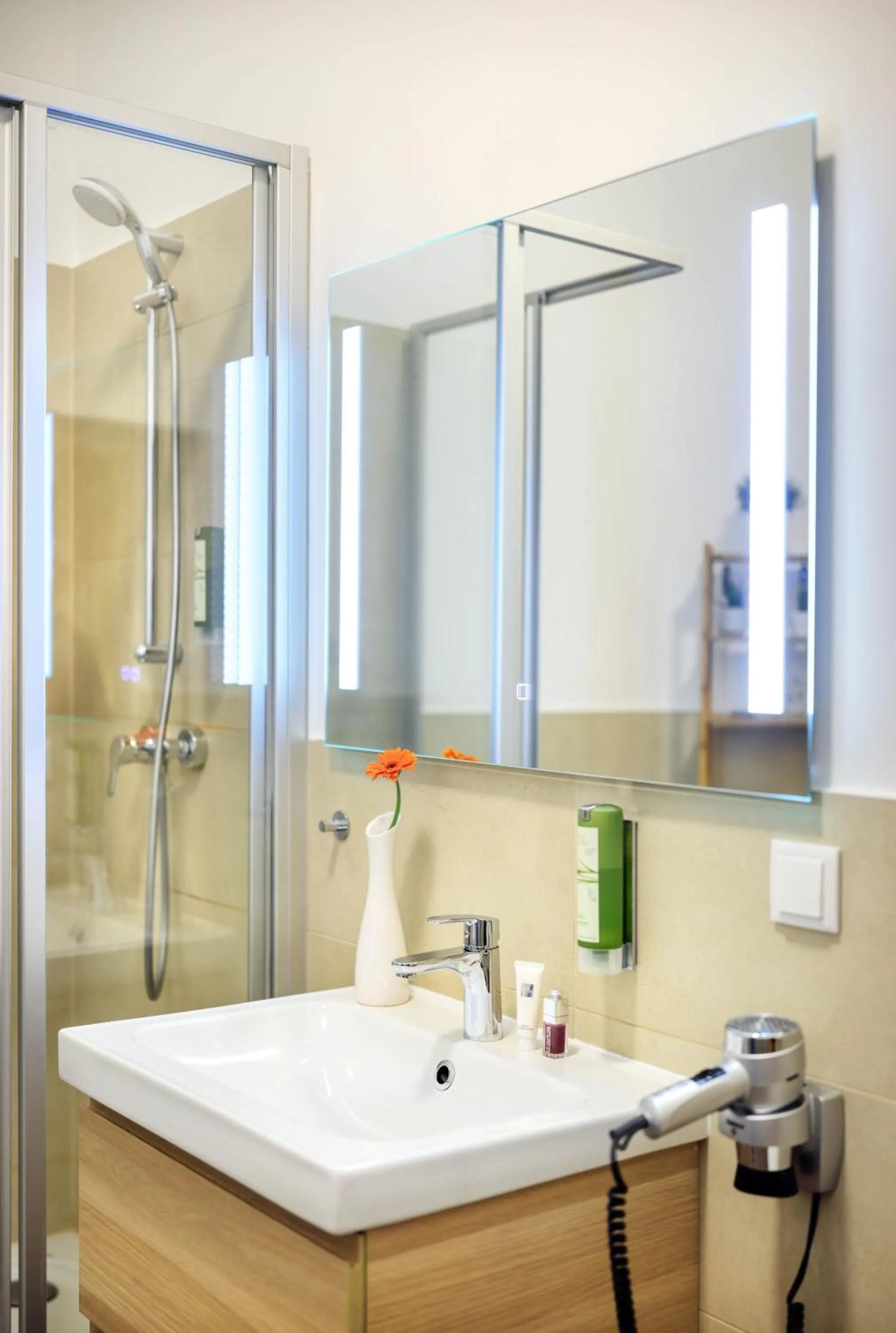 Shower in Jimmy's Apartments Dandelion