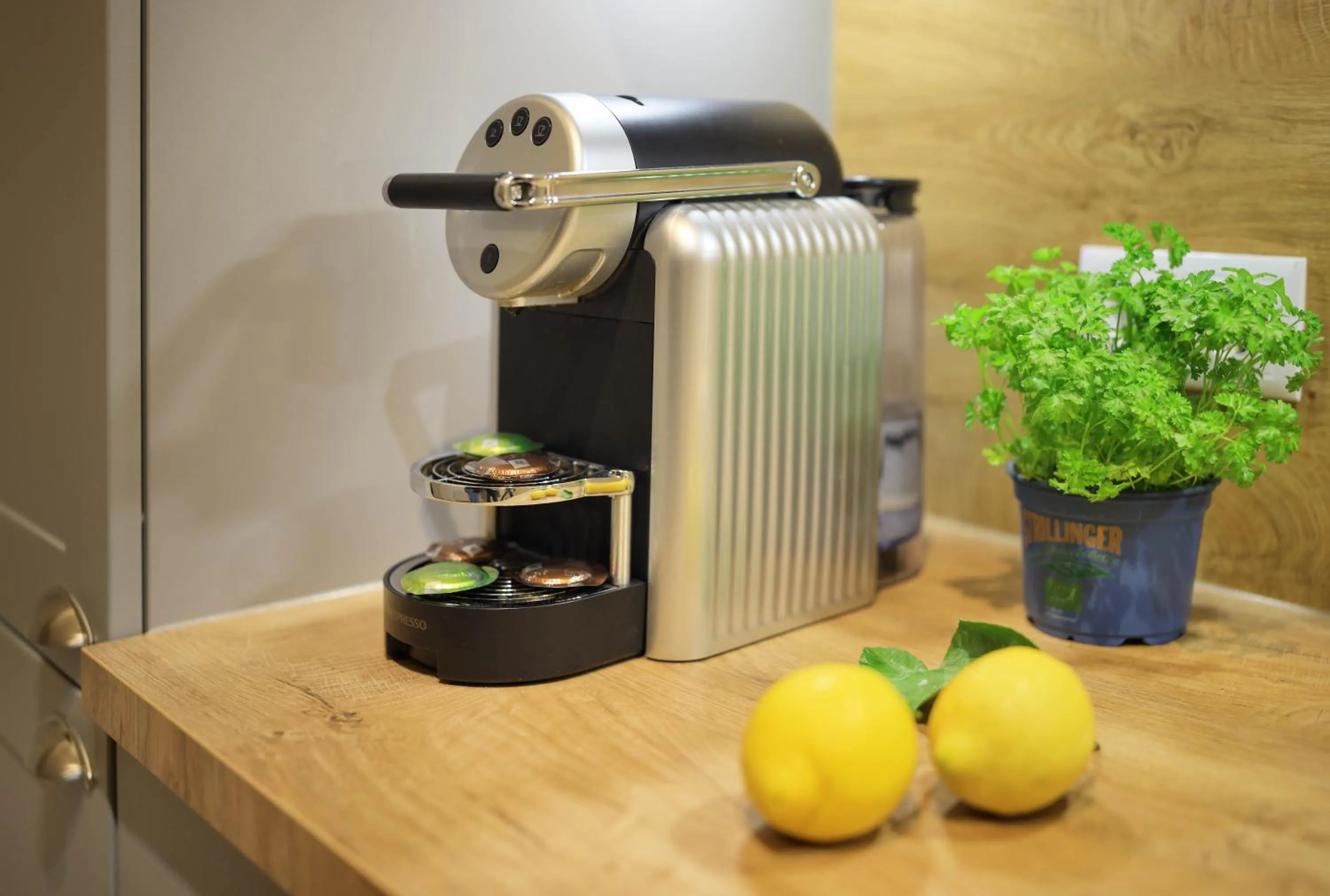 Kitchen or kitchenette in Jimmy's Apartments Dandelion