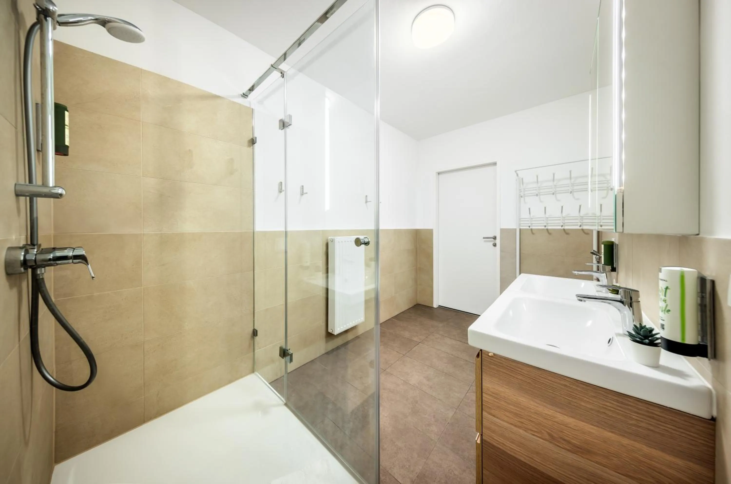 Shower in Jimmy's Apartments Dandelion