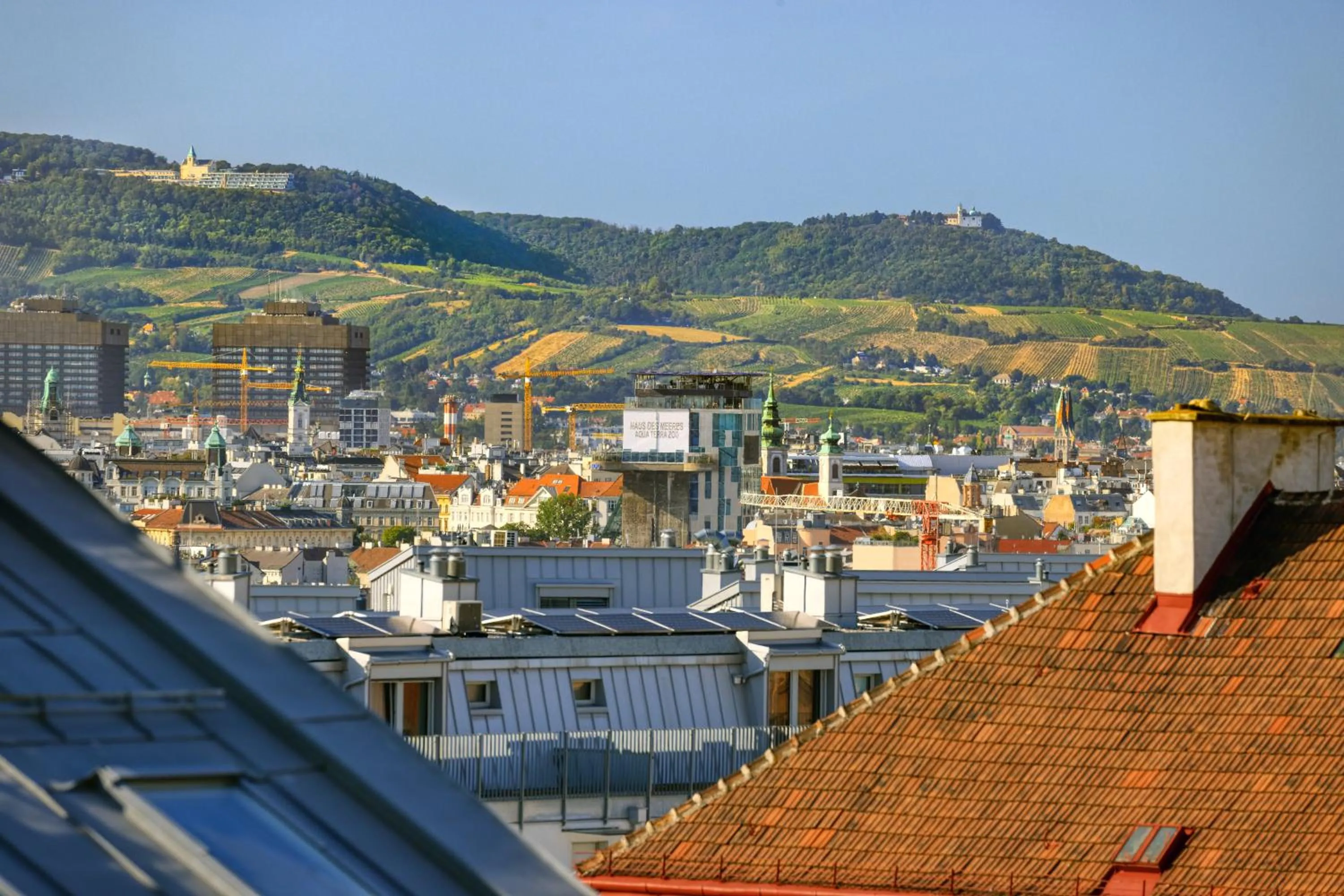View (from property/room) in Jimmy's Apartments Dandelion