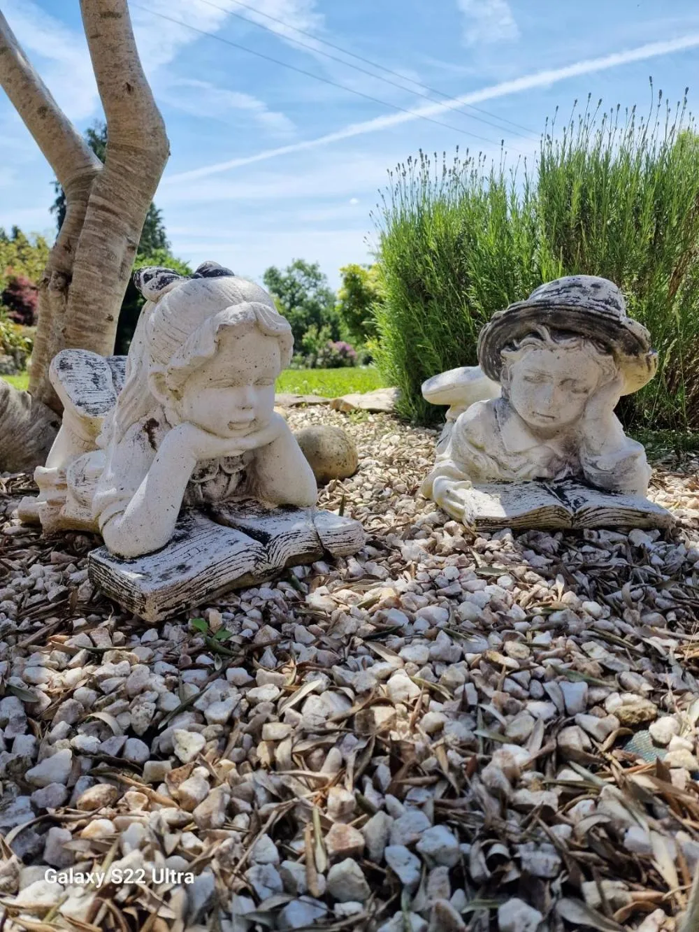 Garden in Les Korrigans