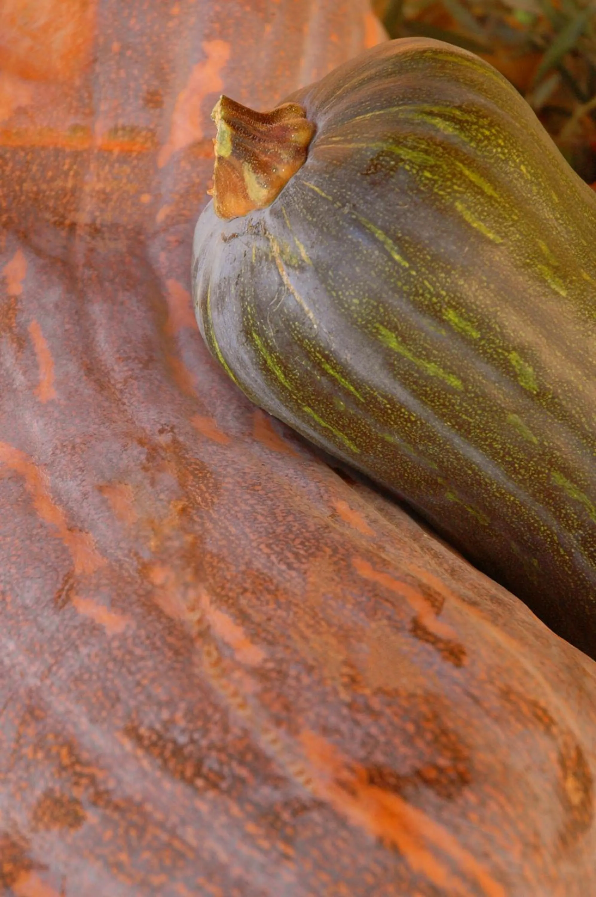 Other in Residence Villa Tina