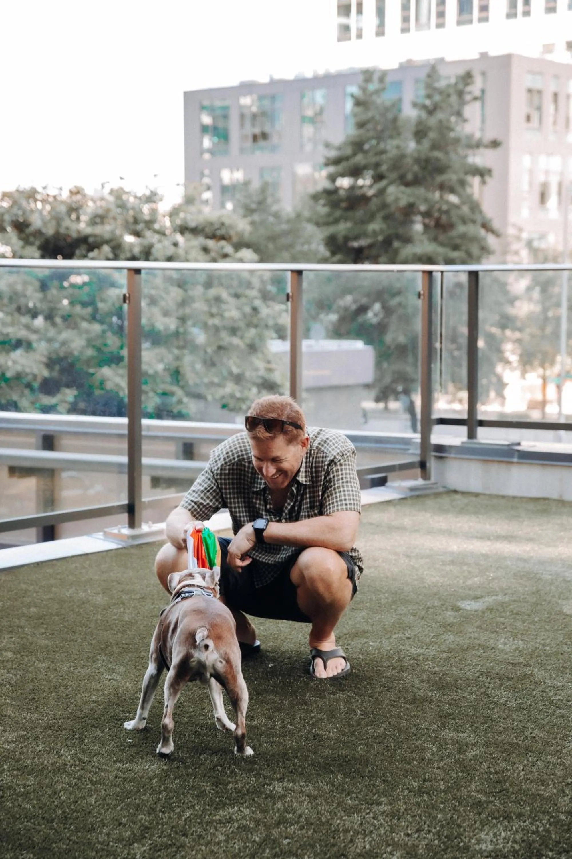 Pets in Level Seattle Downtown - South Lake Union