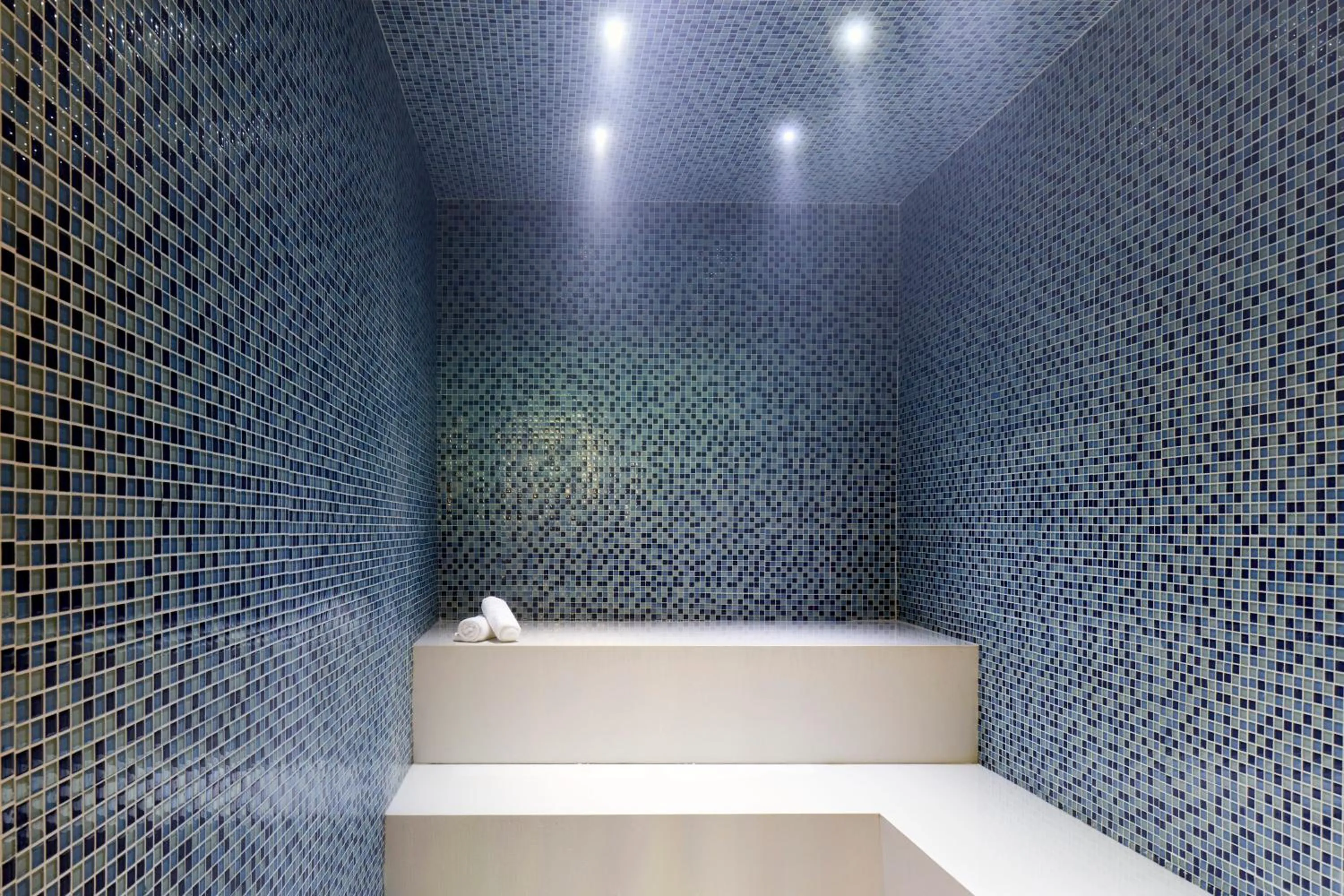 Sauna in Level Seattle Downtown - South Lake Union