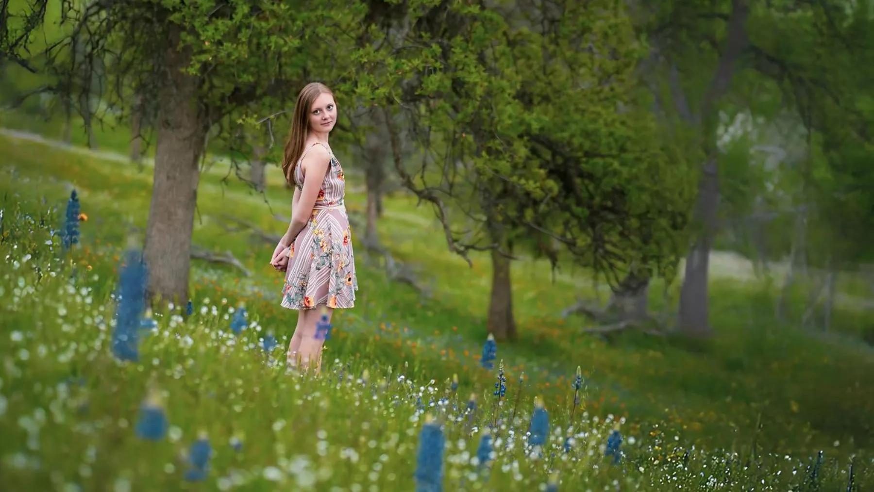 Spring in Genas's Sierra Inn & Restaurant