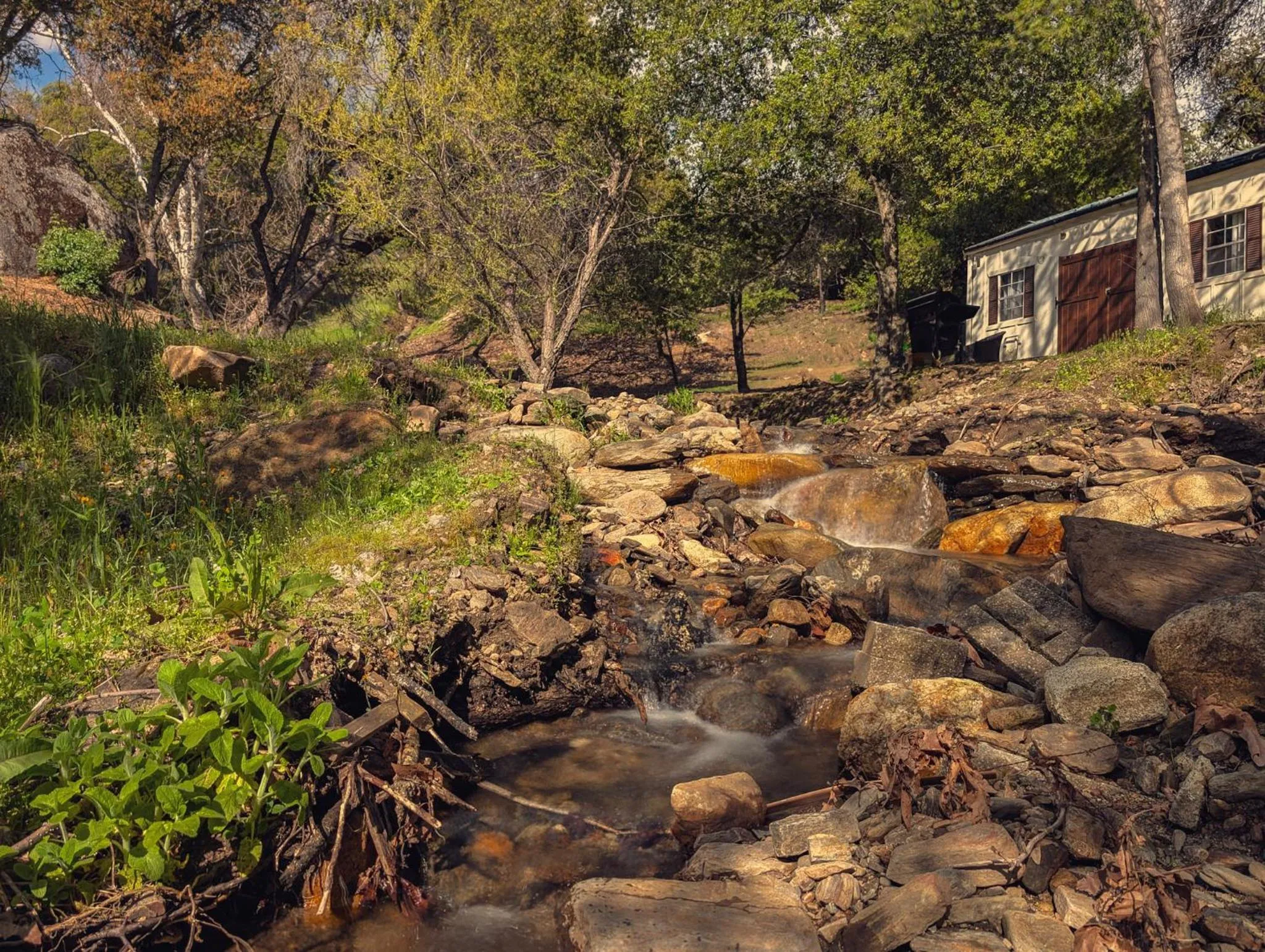 View (from property/room) in Genas's Sierra Inn & Restaurant