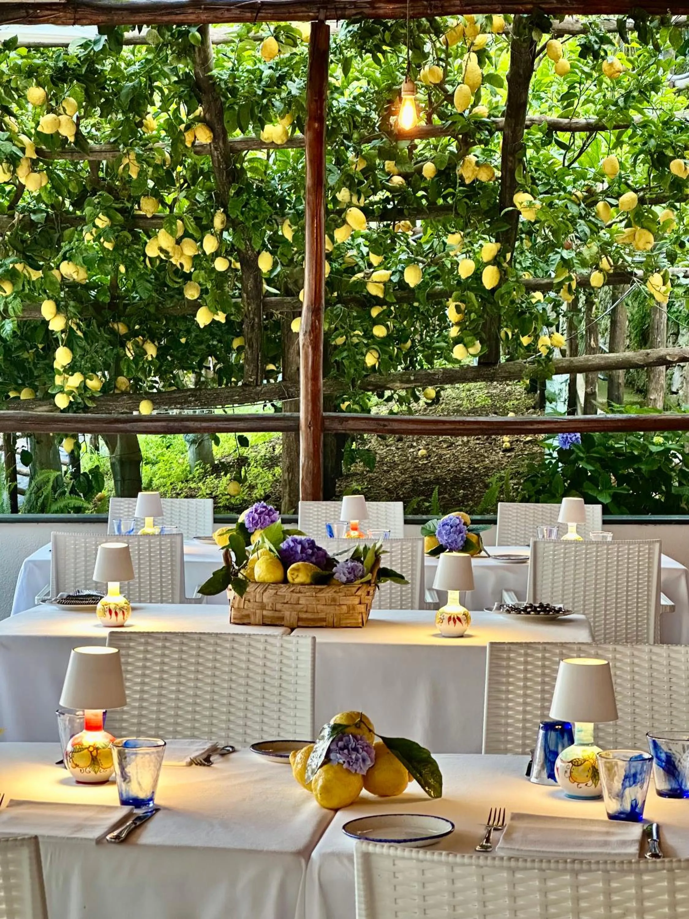 Restaurant/places to eat in Hotel La Pergola