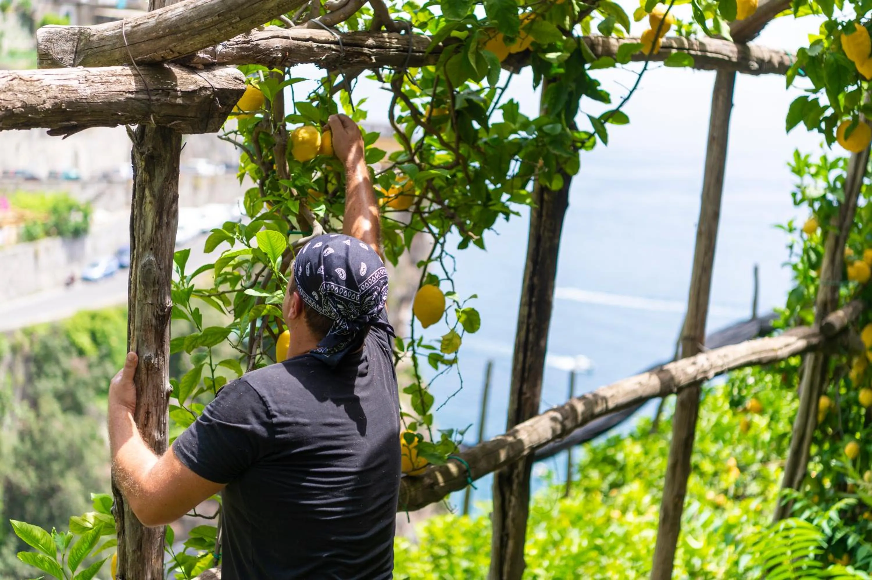 Garden in Hotel La Pergola