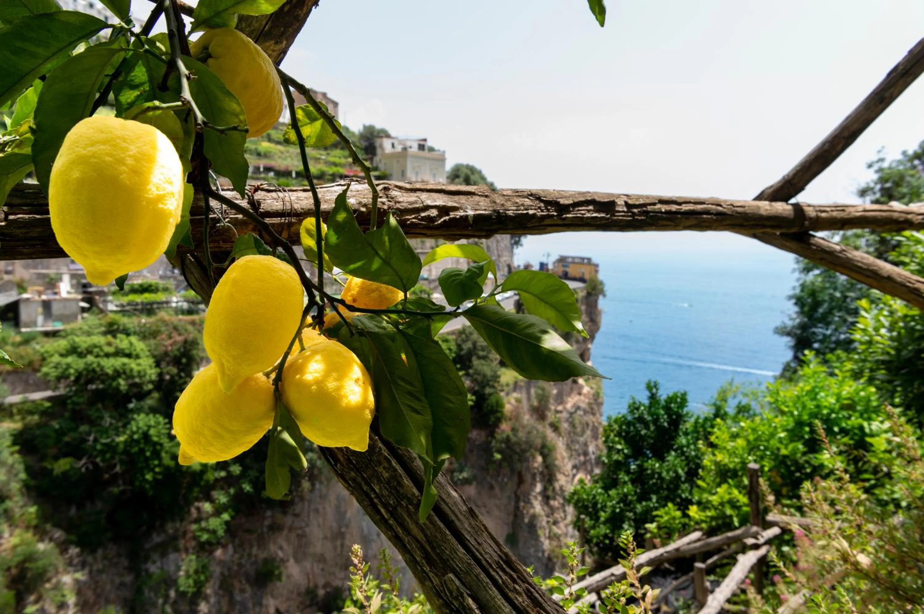 Garden in Hotel La Pergola