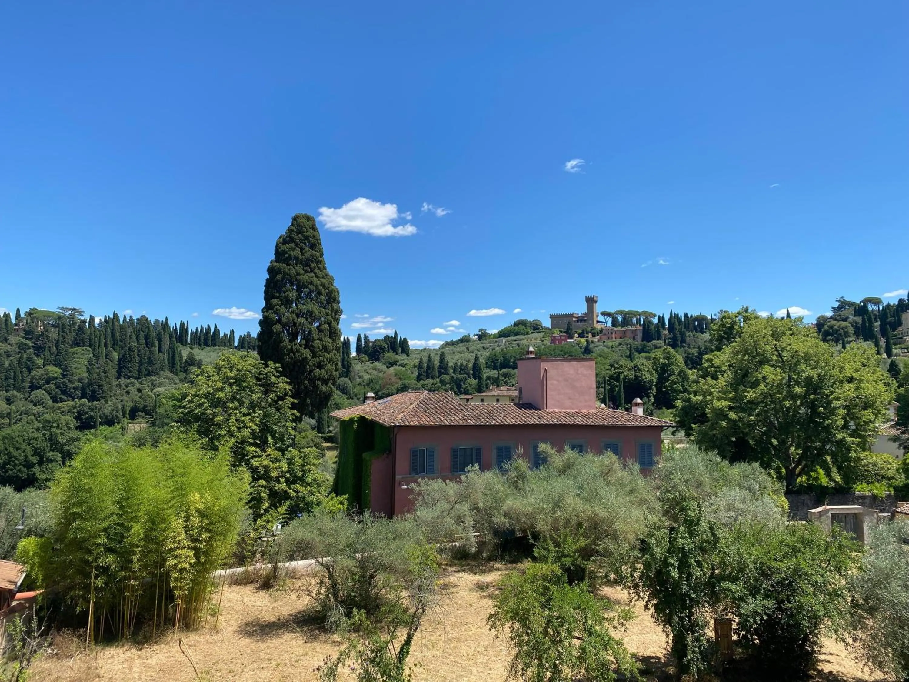 Natural landscape in Park Palace Hotel