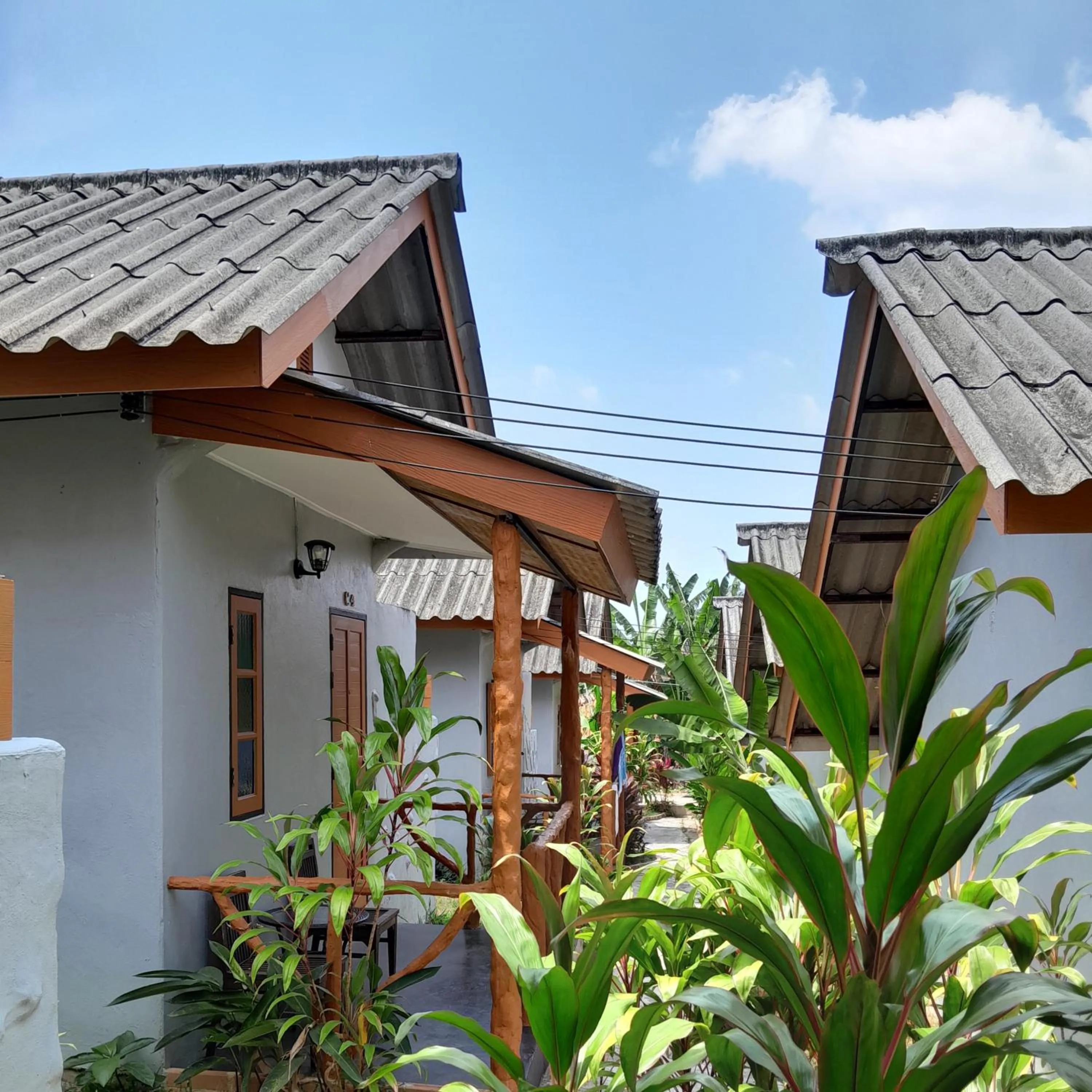 Garden in Khaolak Banana Bungalow