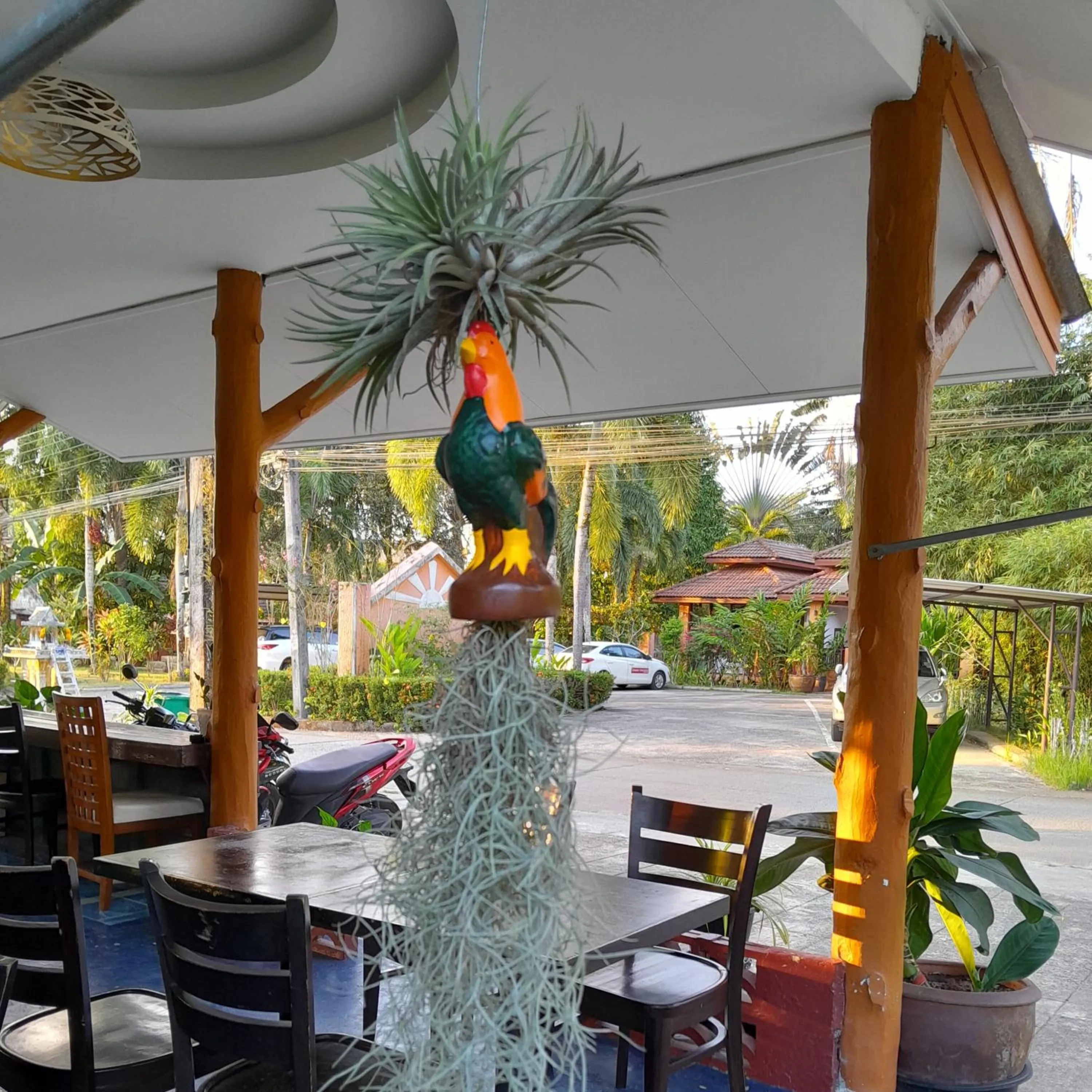 Garden view in Khaolak Banana Bungalow