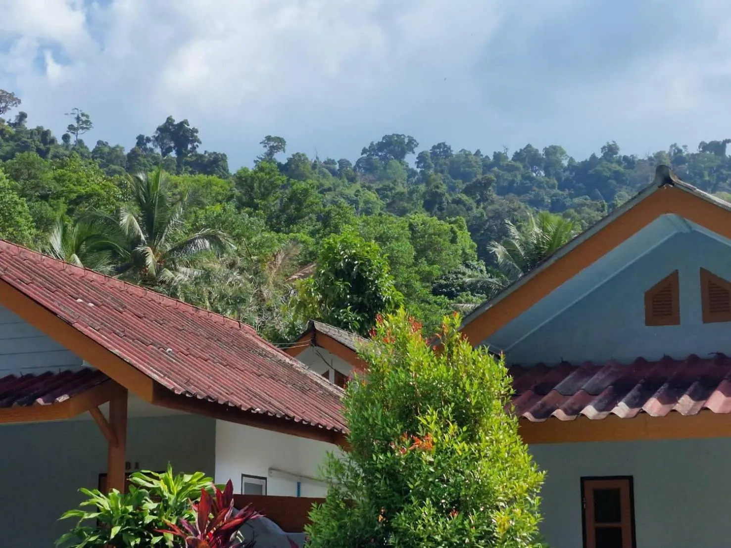 Mountain view in Khaolak Banana Bungalow