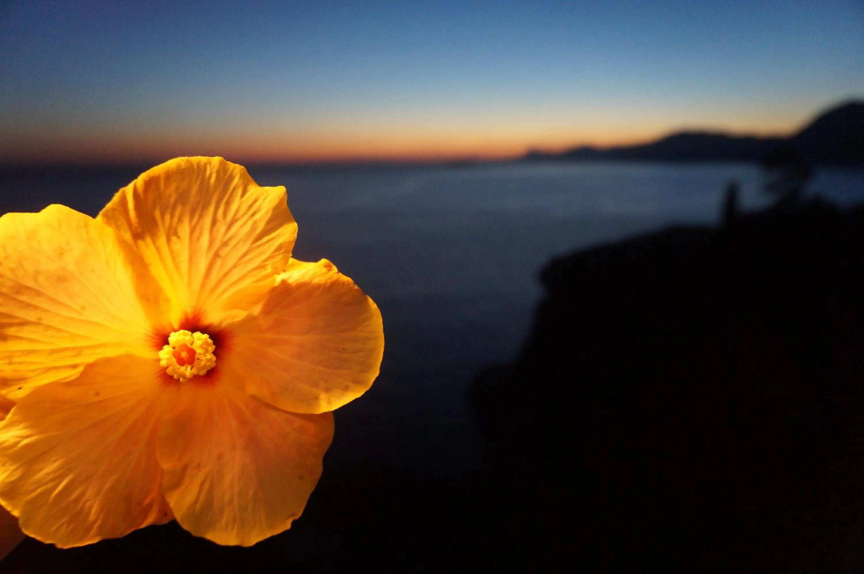 Decorative detail in Hotel Villa Bellavista