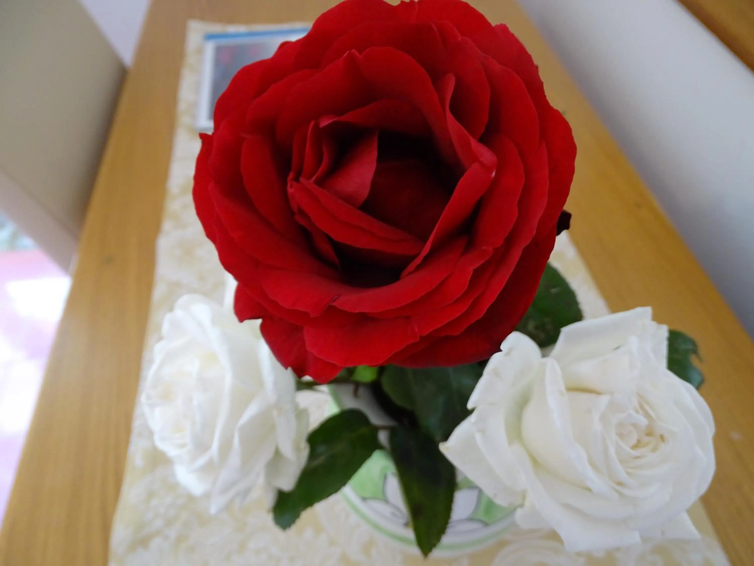 Decorative detail in Hotel Villa Bellavista