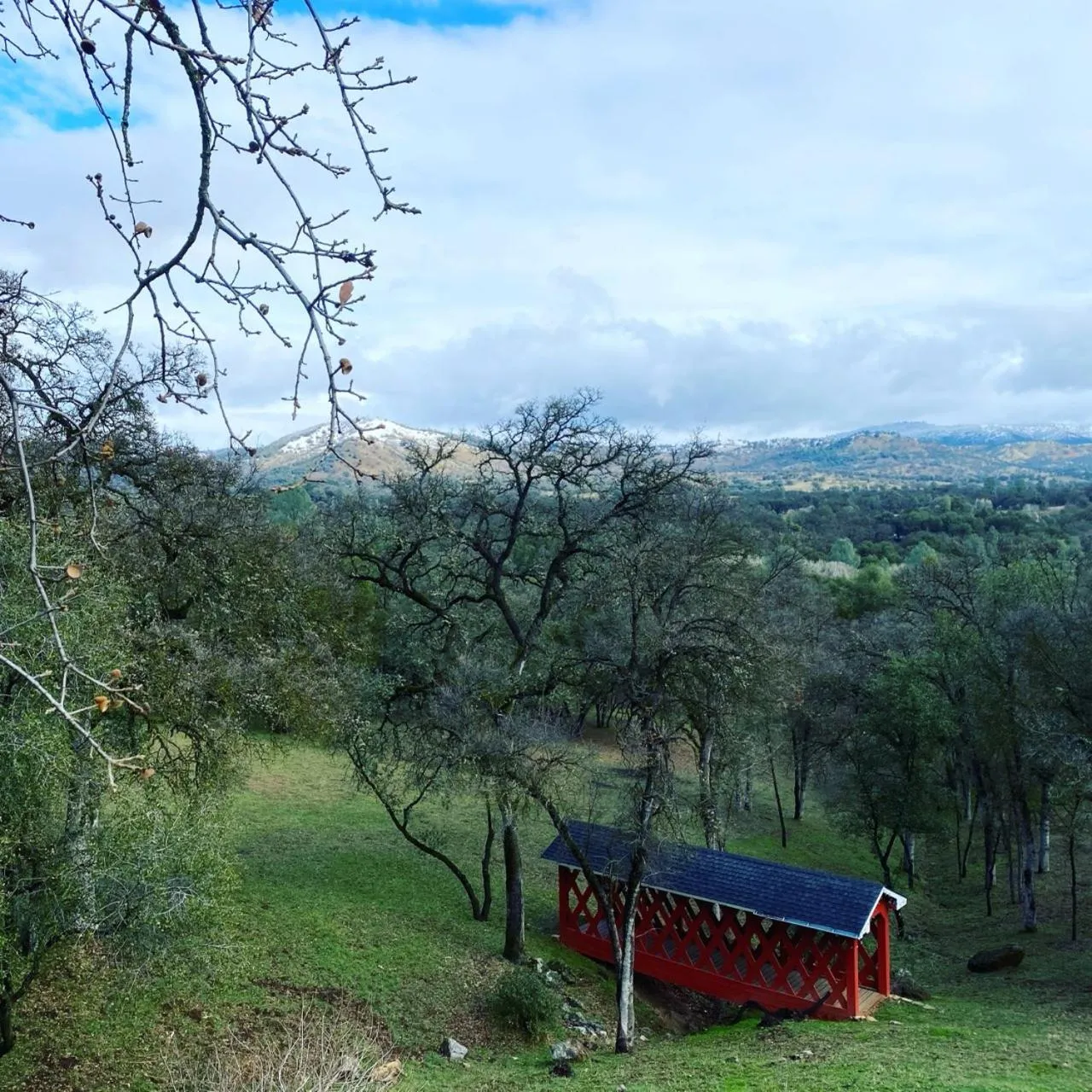 Garden in Sierra Ranch - A Yosemite Retreat