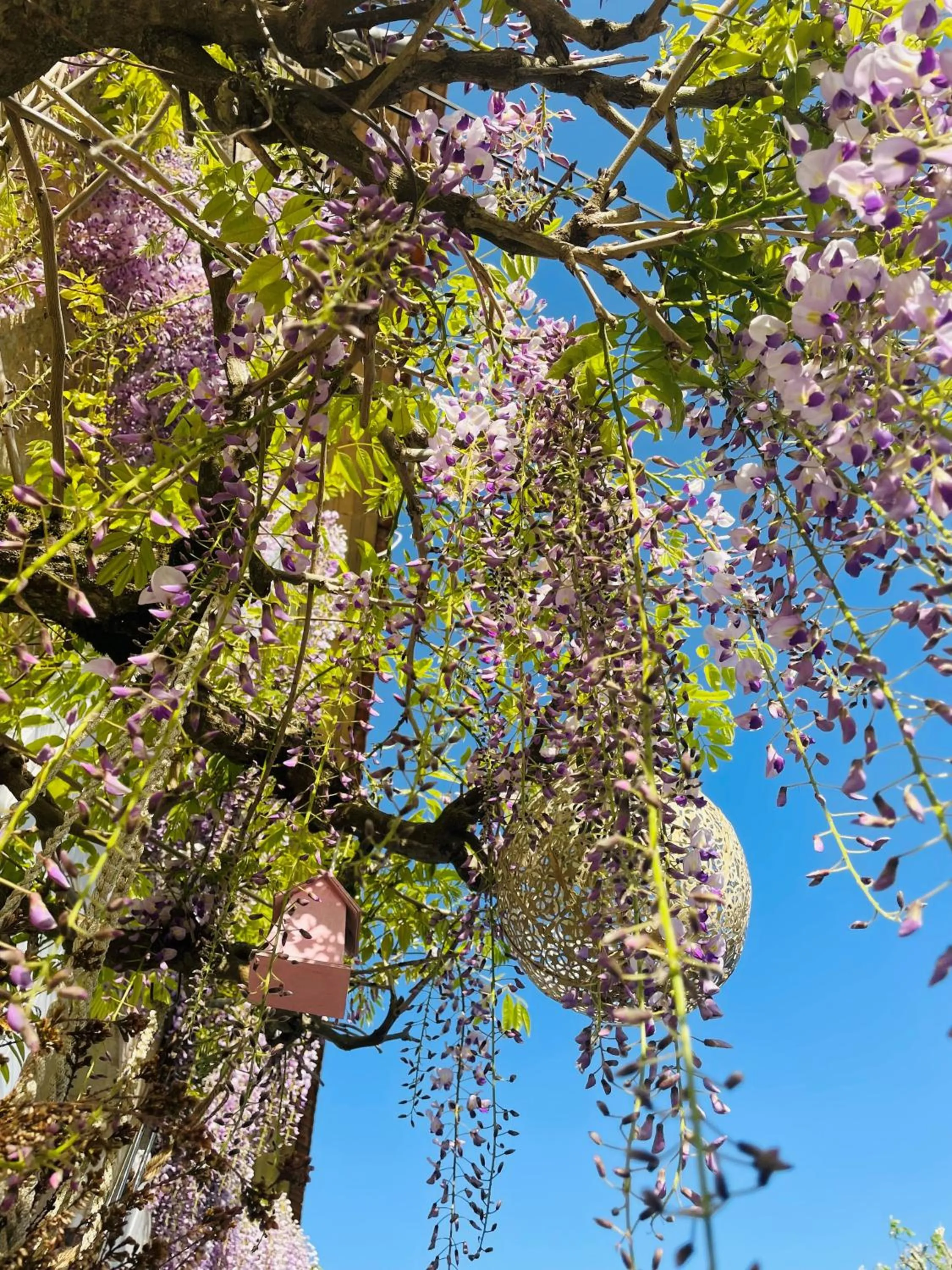 View (from property/room) in La Vigne d'Or