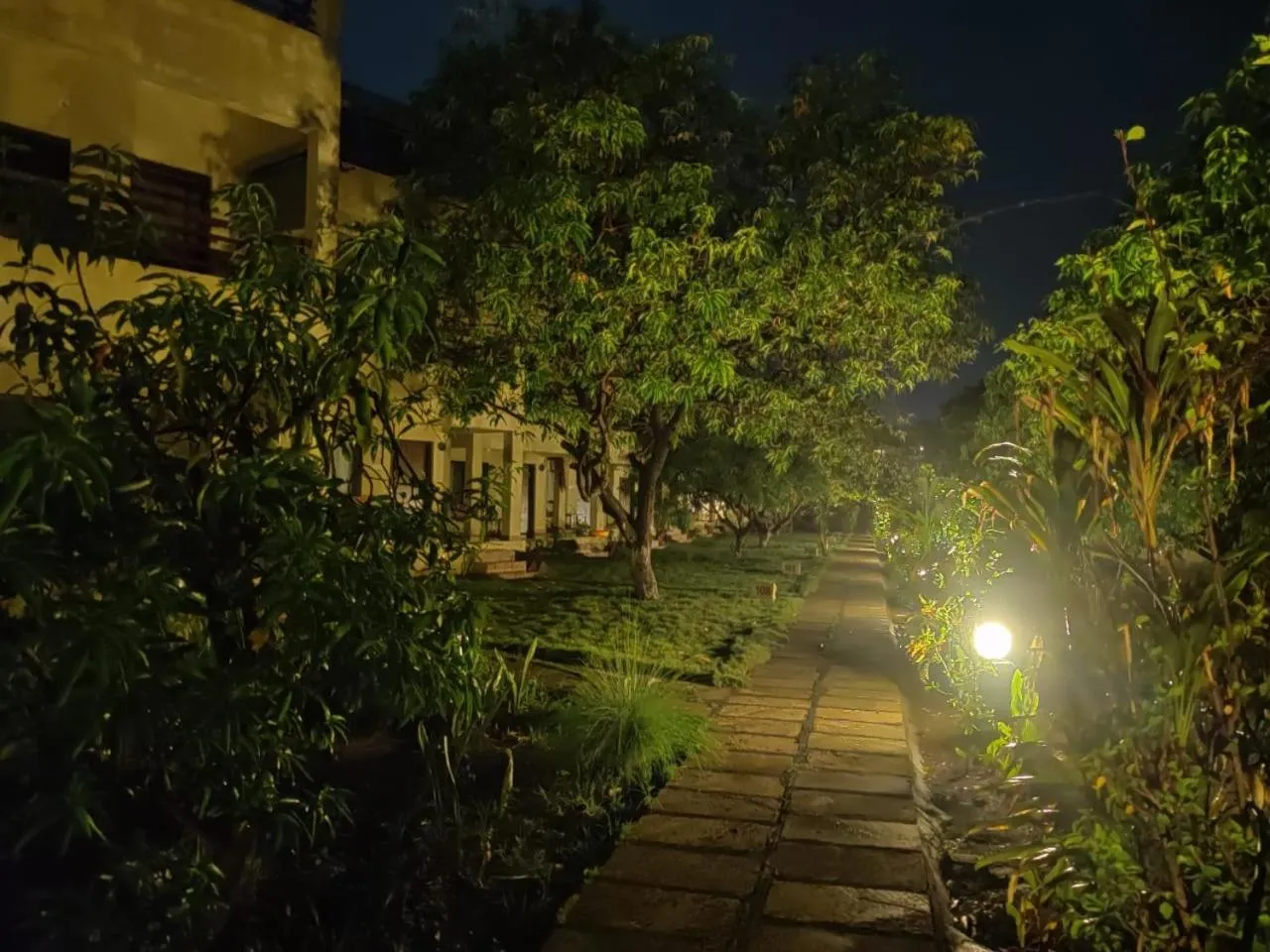 Garden in Gir Birding Lodge