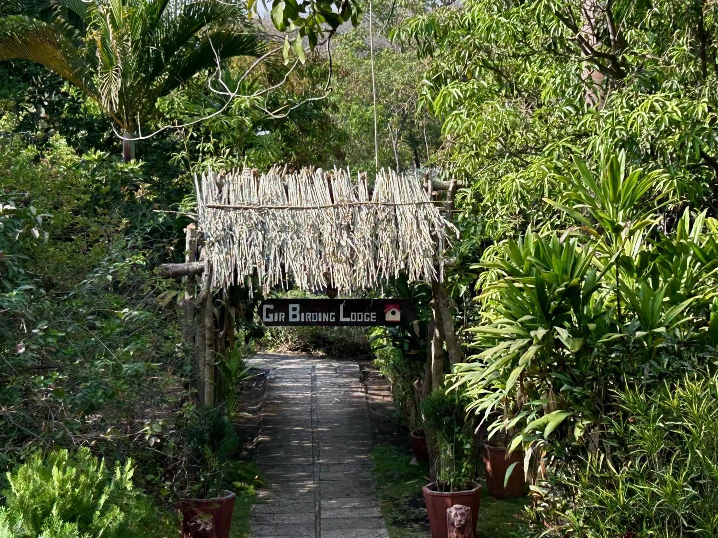 Facade/entrance in Gir Birding Lodge