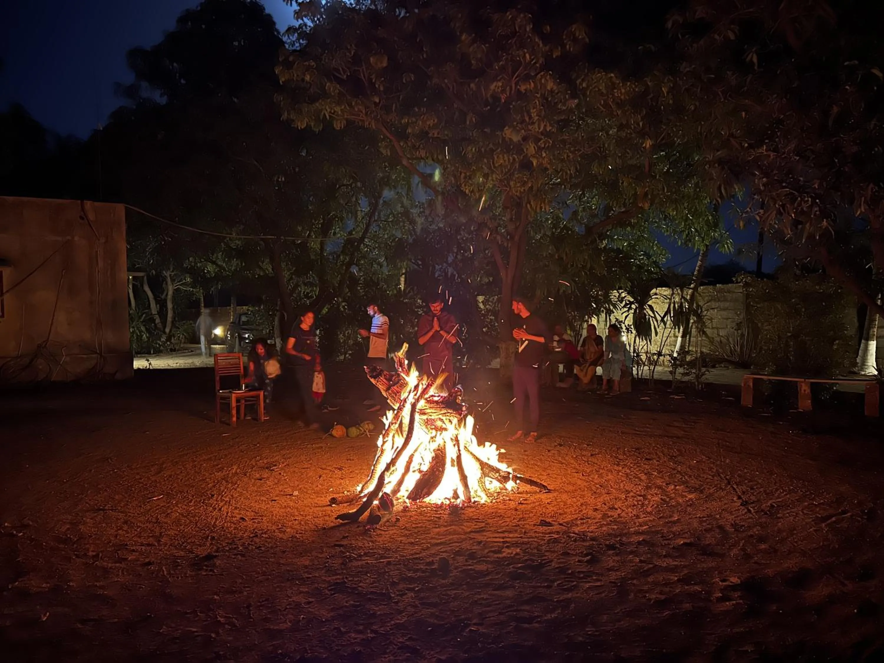 Activities in Gir Birding Lodge