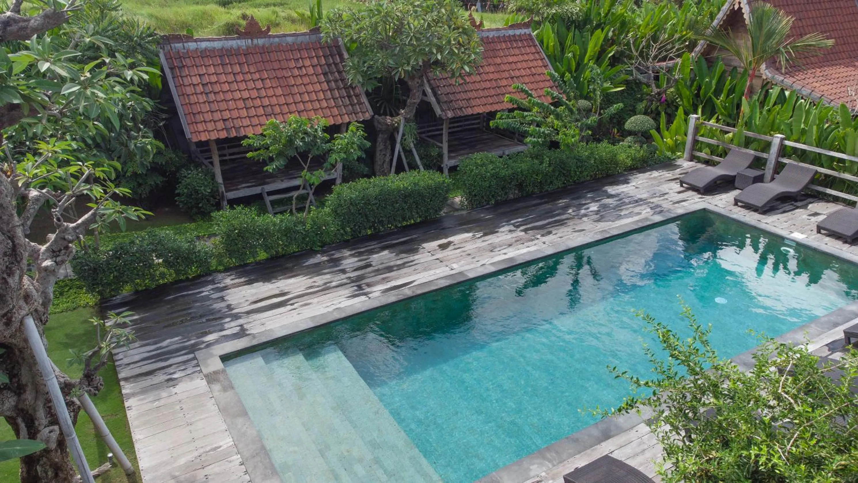 Swimming pool in Bajalo Cottage Canggu - Adults only
