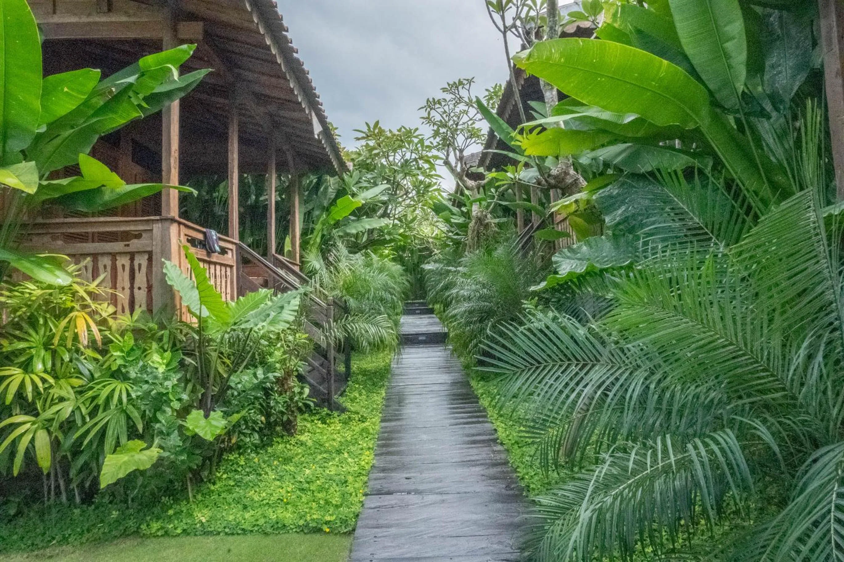 Garden in Bajalo Cottage Canggu - Adults only