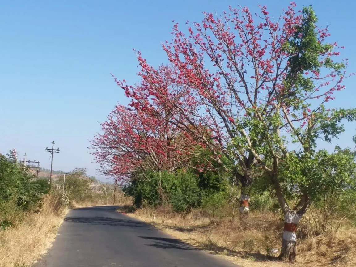 Natural landscape in Hilltop Resort and Glamping Wai, Near Panchgani