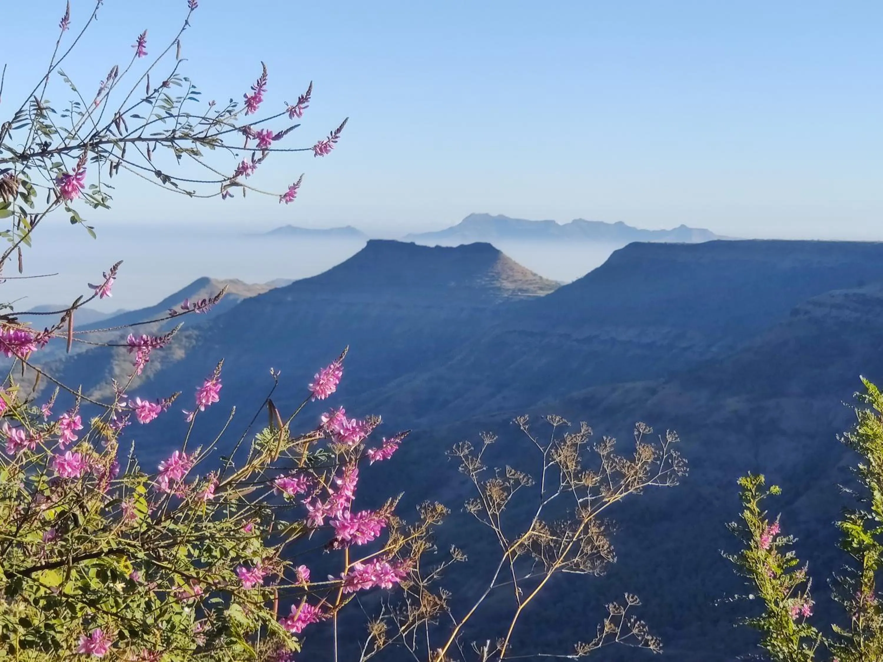 Mountain view in Hilltop Resort and Glamping Wai, Near Panchgani