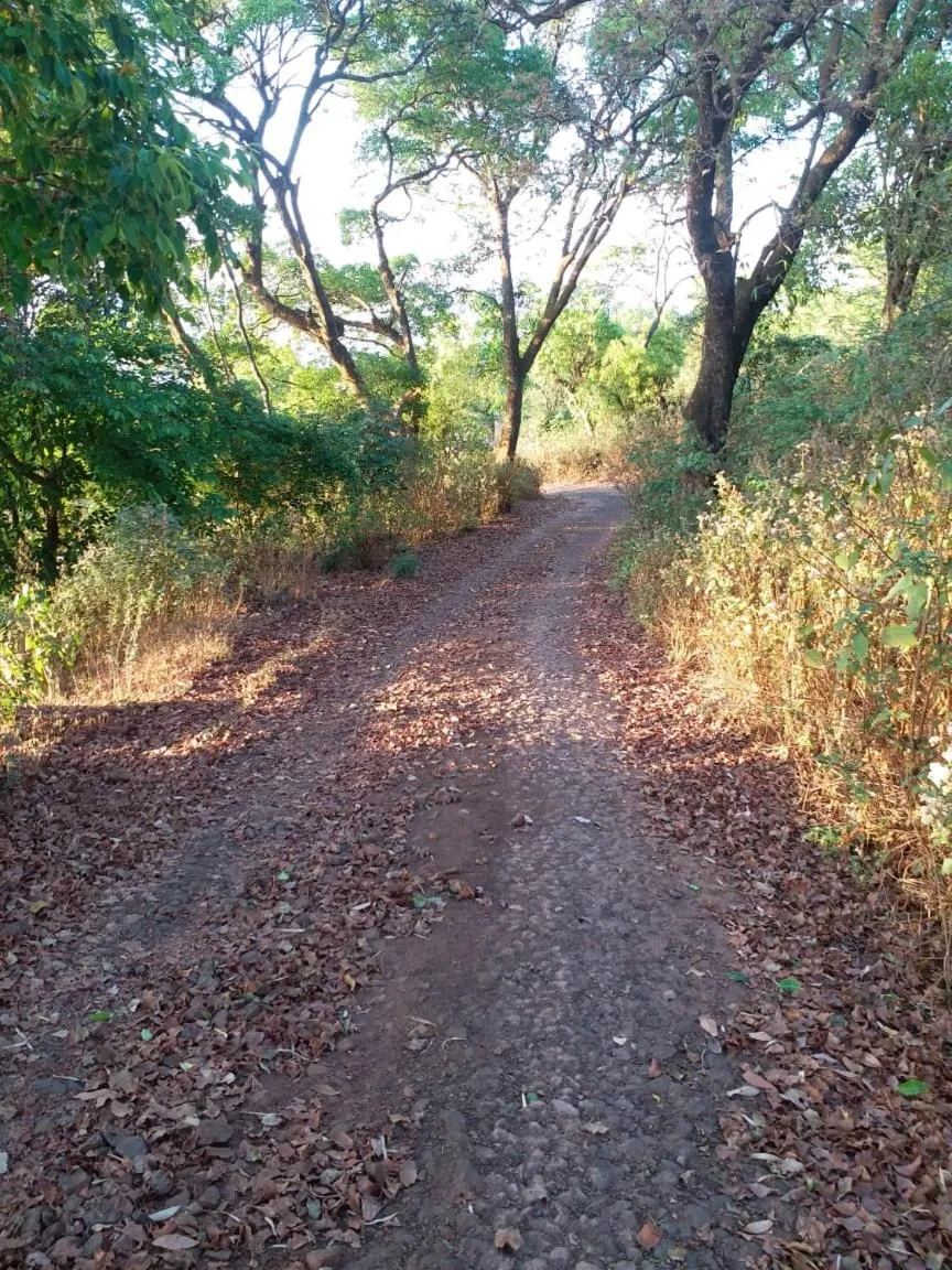 Spring in Hilltop Resort and Glamping Wai, Near Panchgani