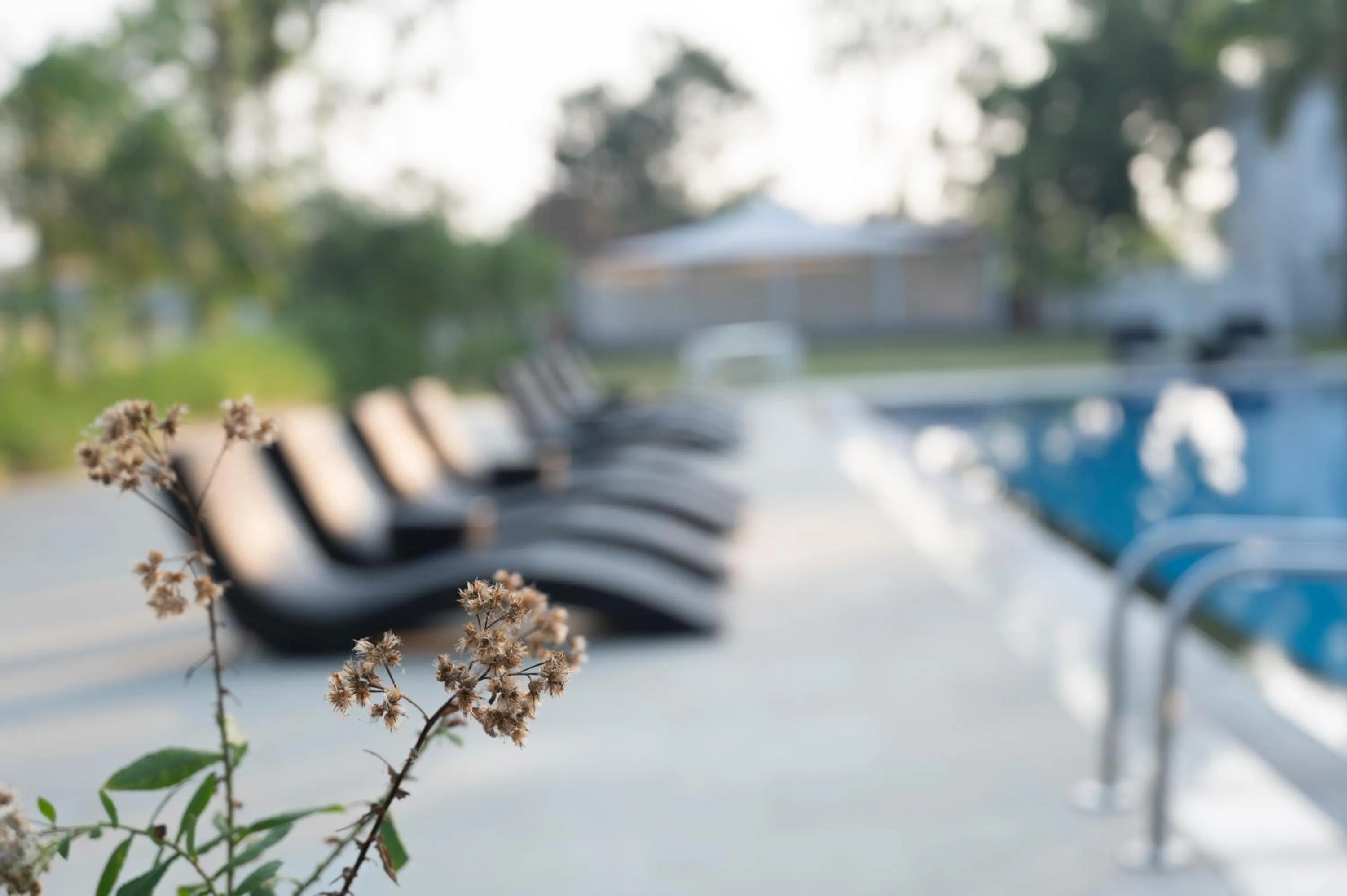 Swimming pool in Sterling Stolen Heaven Lonavala