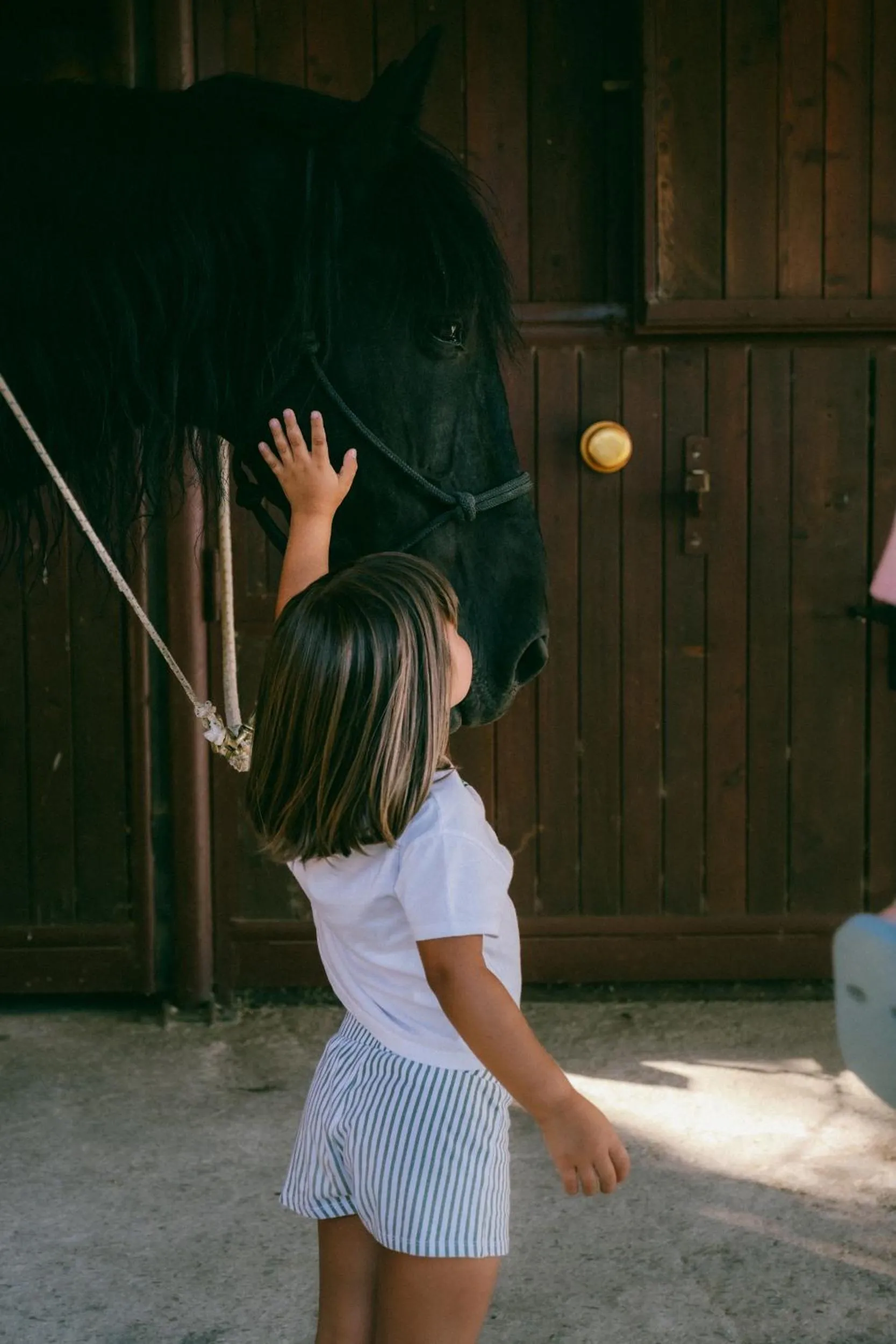 Day in Fattoria Degli Usignoli