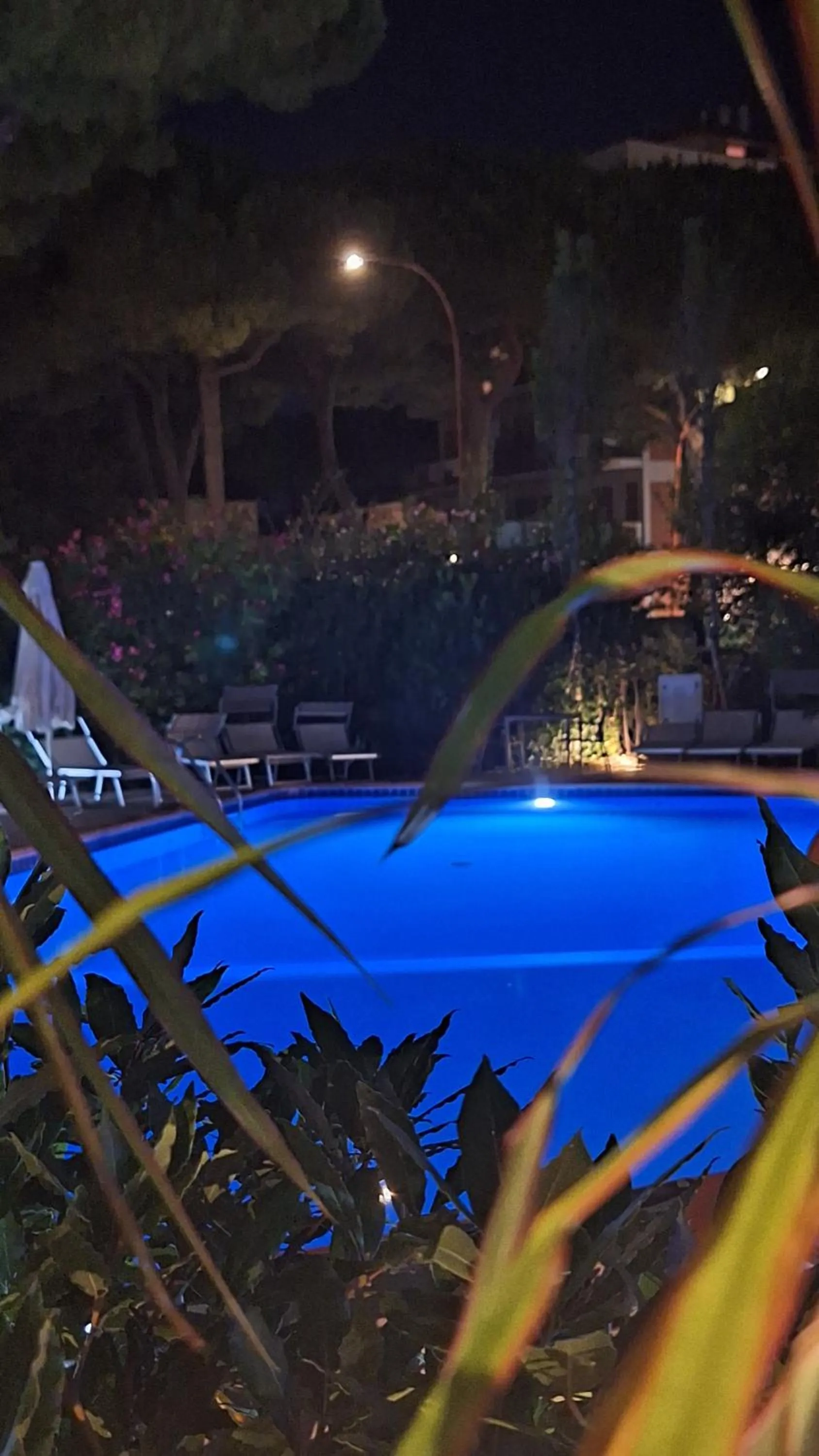 Swimming pool in Hotel Schiller