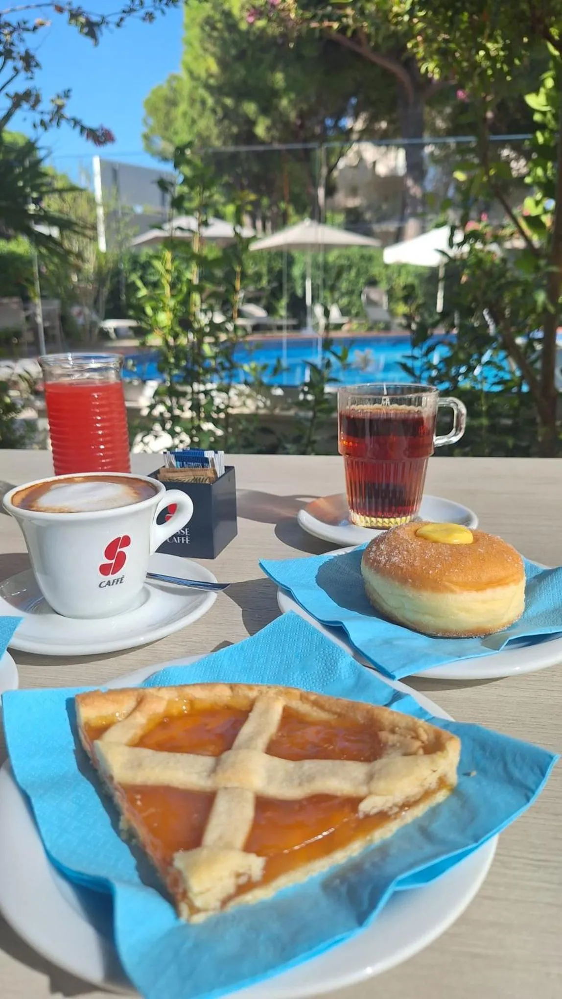 Swimming pool in Hotel Schiller