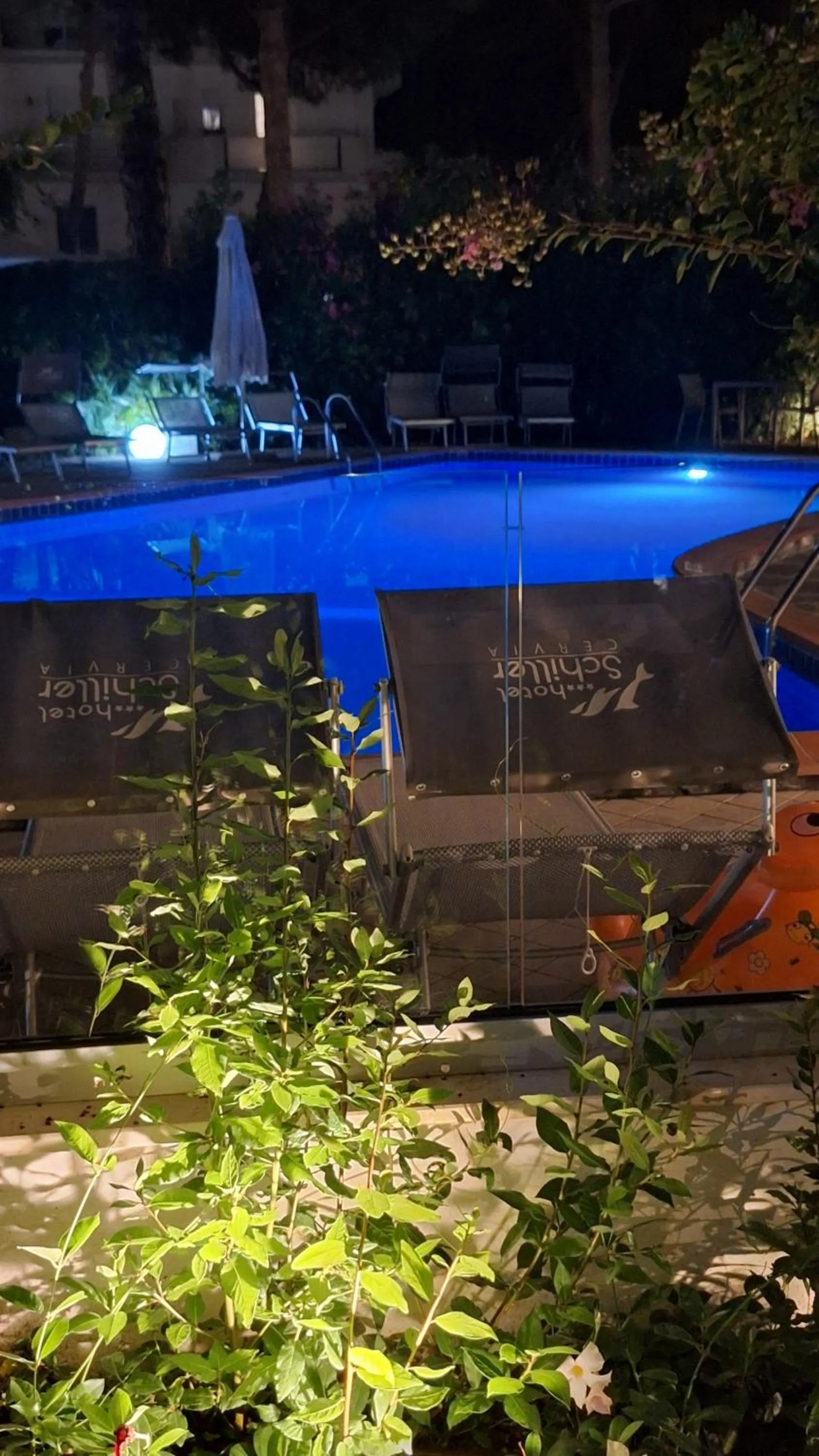 Swimming pool in Hotel Schiller