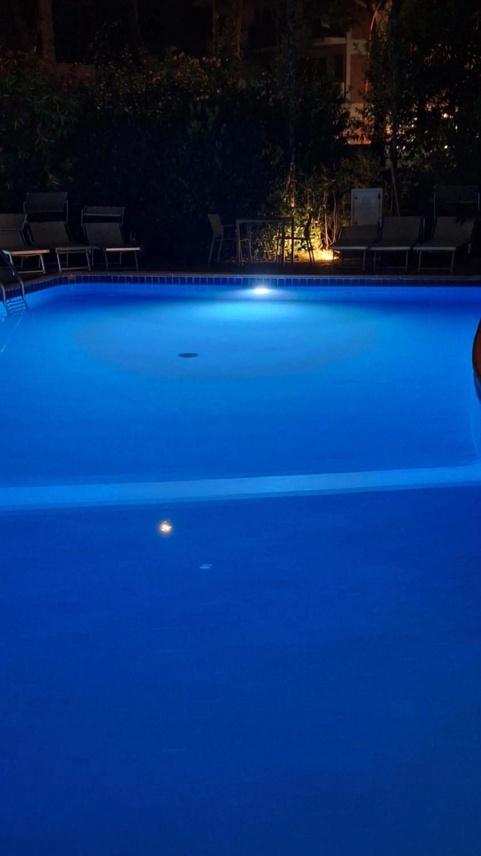 Swimming pool in Hotel Schiller